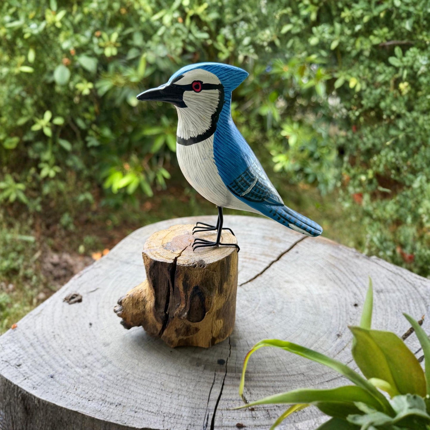 Hand Carved Blue Jay Wood Sculpture: Forest Bird Wildlife Art