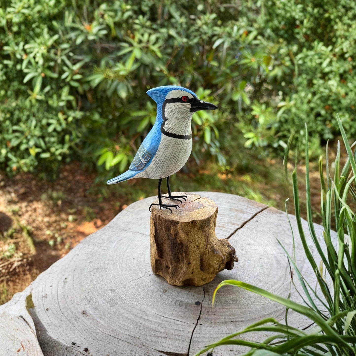 Hand Carved Blue Jay Wood Sculpture: Forest Bird Wildlife Art