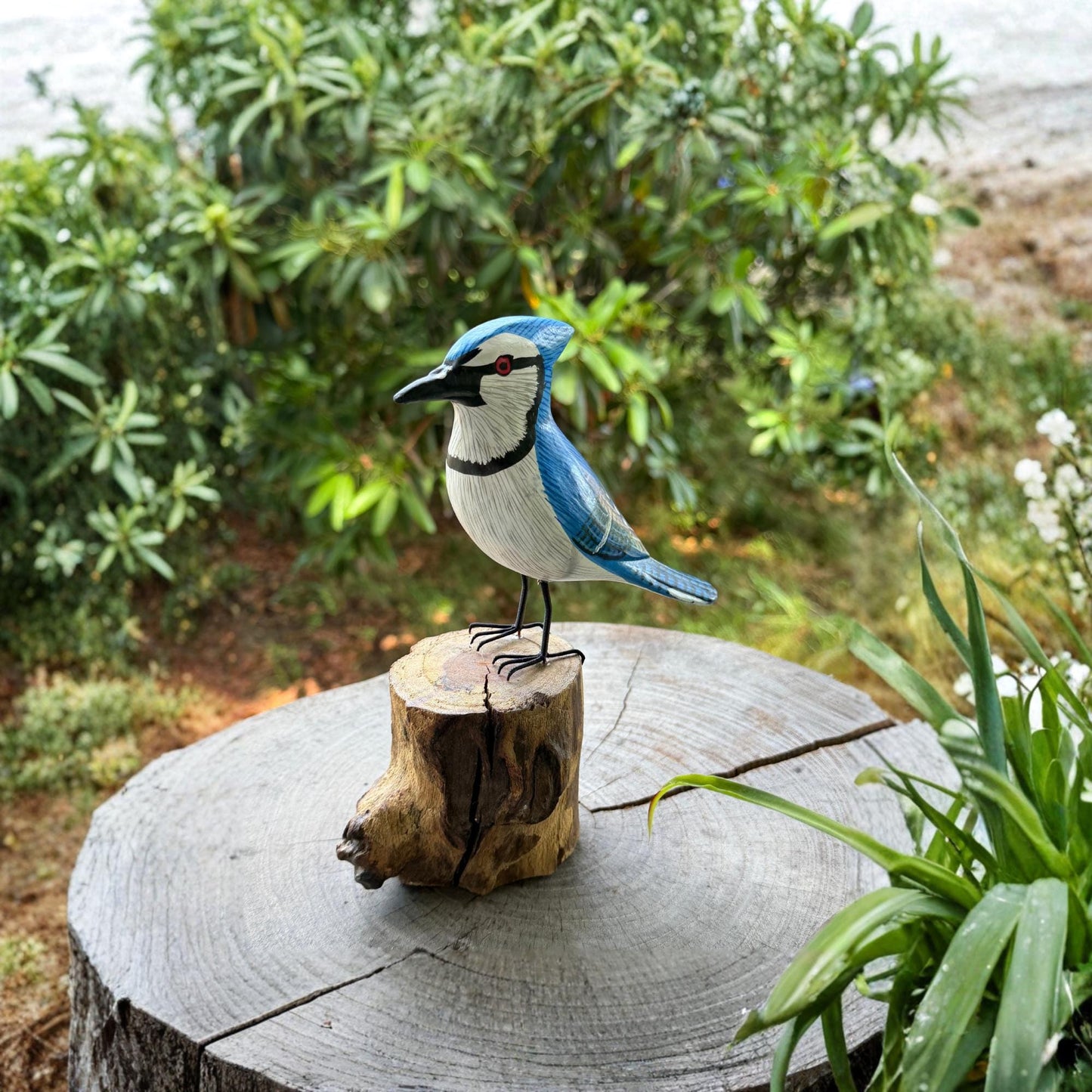 Hand Carved Blue Jay Wood Sculpture: Forest Bird Wildlife Art