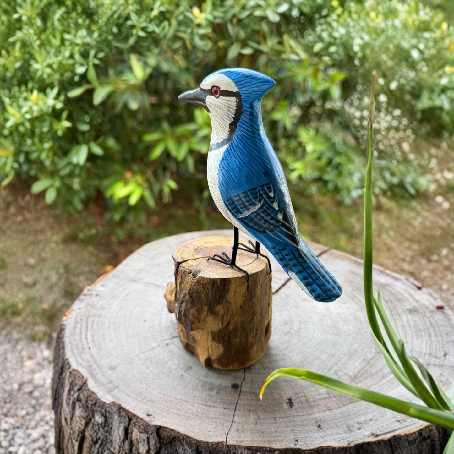 Hand Carved Blue Jay Wood Sculpture: Forest Bird Wildlife Art