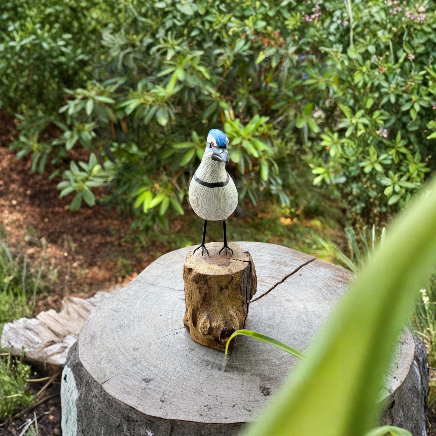 Hand Carved Blue Jay Wood Sculpture: Forest Bird Wildlife Art