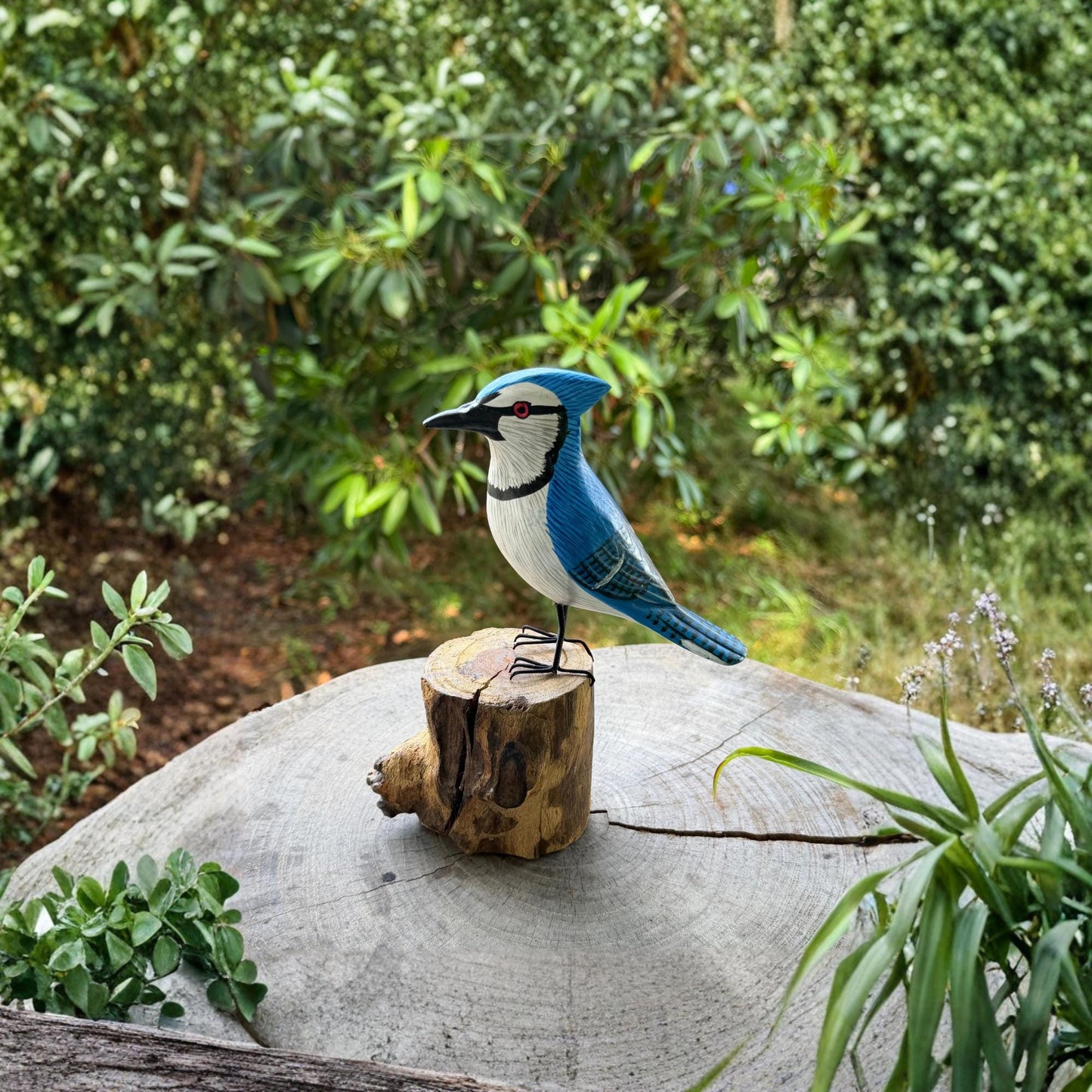 Hand Carved Blue Jay Wood Sculpture: Forest Bird Wildlife Art