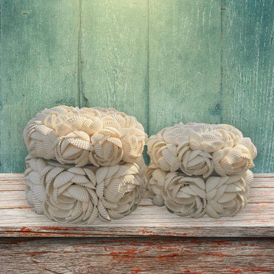 Rose Seashell Decorative Trinket Box, Natural Shell, Beach Cottage Decor