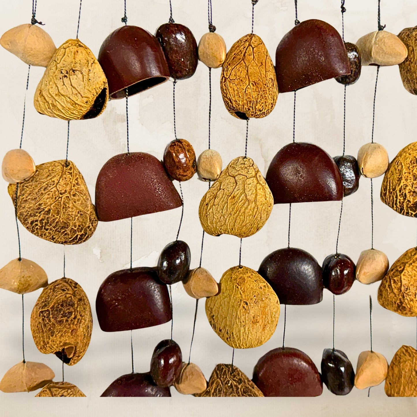 Pangi Nut Natural Seed Wind Chime,  Bendo Fruit Rattle - Sound Healing Bell