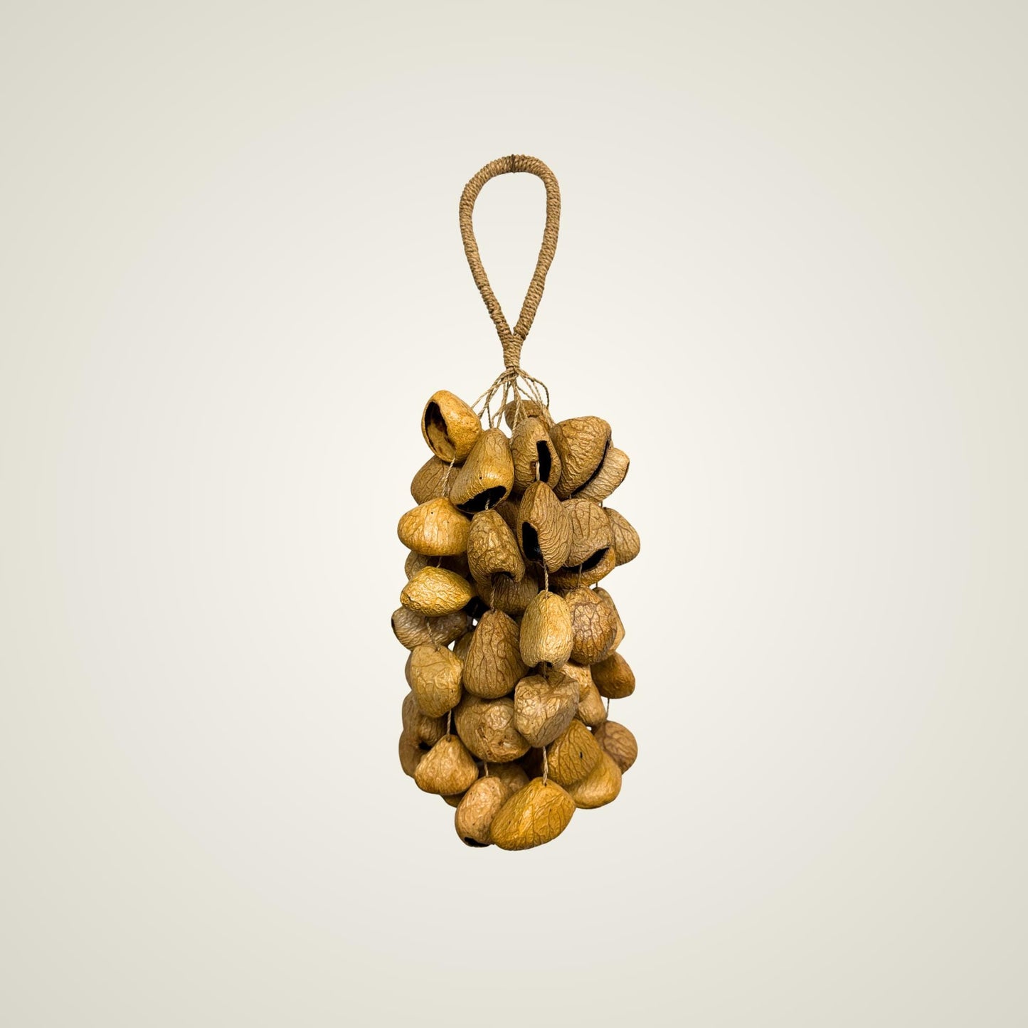 Pangi Nut Percussion Rattle,  Natural Keluwak Seed Shaker - Sound Healing Bell - Wind chime