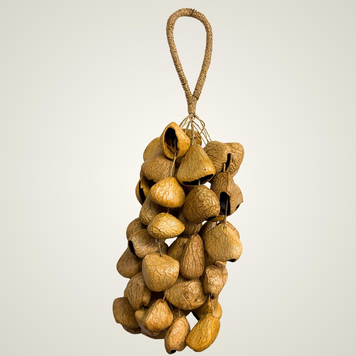 Pangi Nut Percussion Rattle,  Natural Keluwak Seed Shaker - Sound Healing Bell - Wind chime