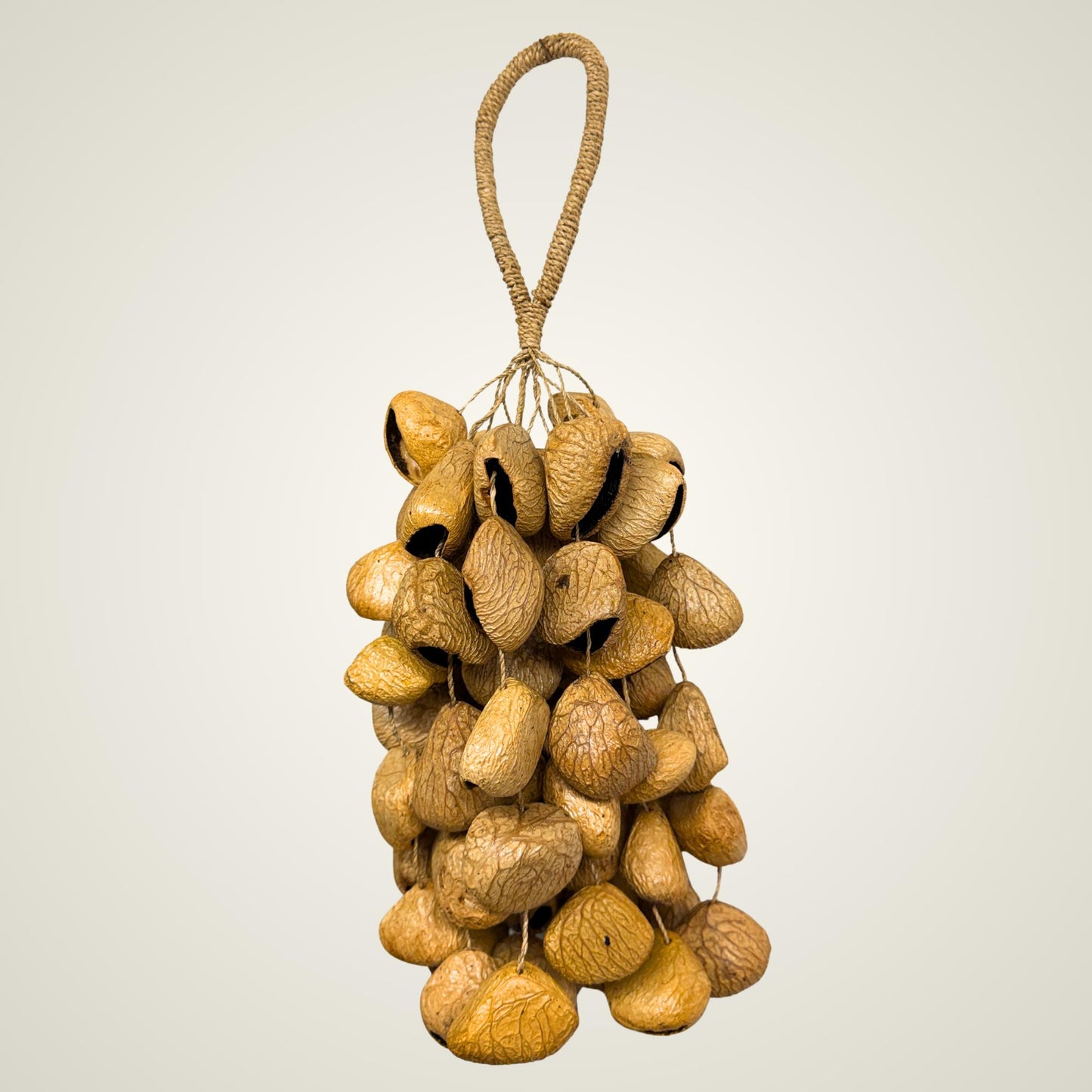 Pangi Nut Percussion Rattle,  Natural Keluwak Seed Shaker - Sound Healing Bell - Wind chime
