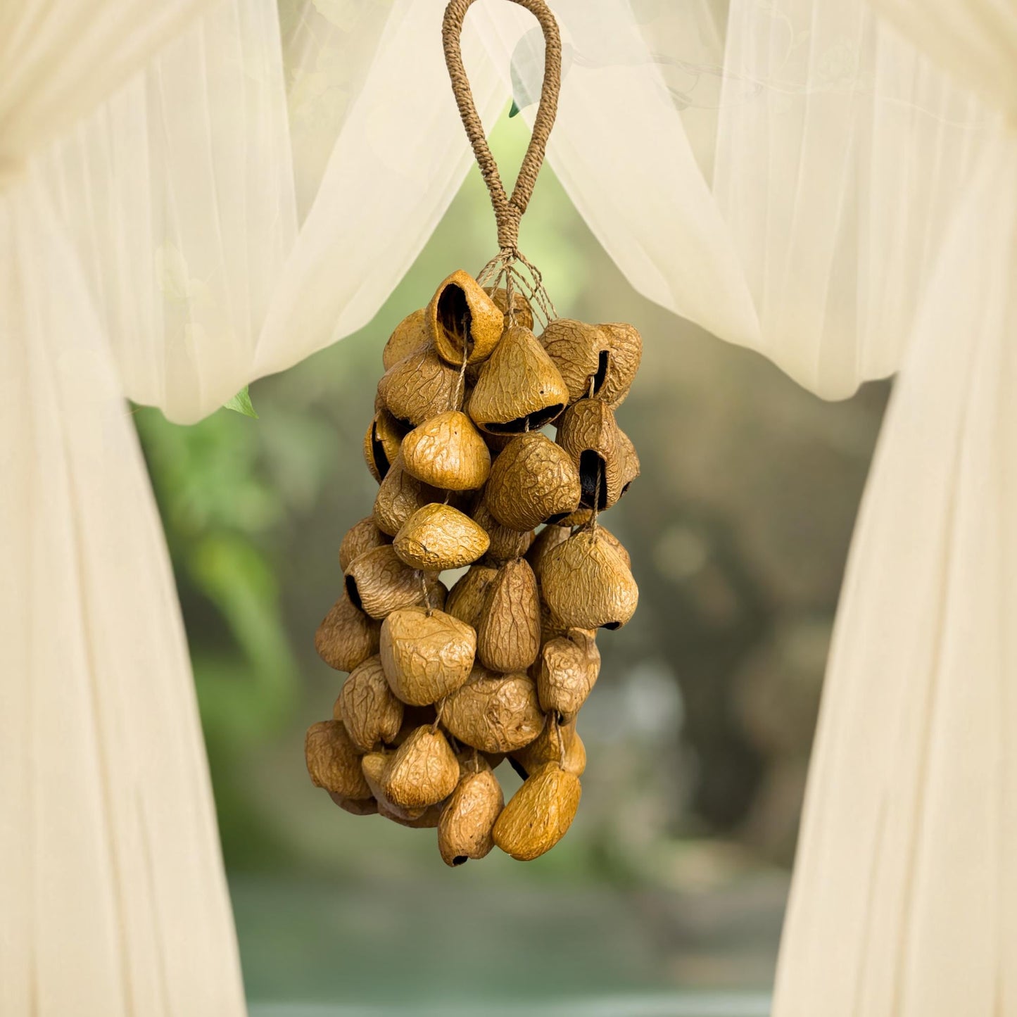 Pangi Nut Percussion Rattle,  Natural Keluwak Seed Shaker - Sound Healing Bell - Wind chime