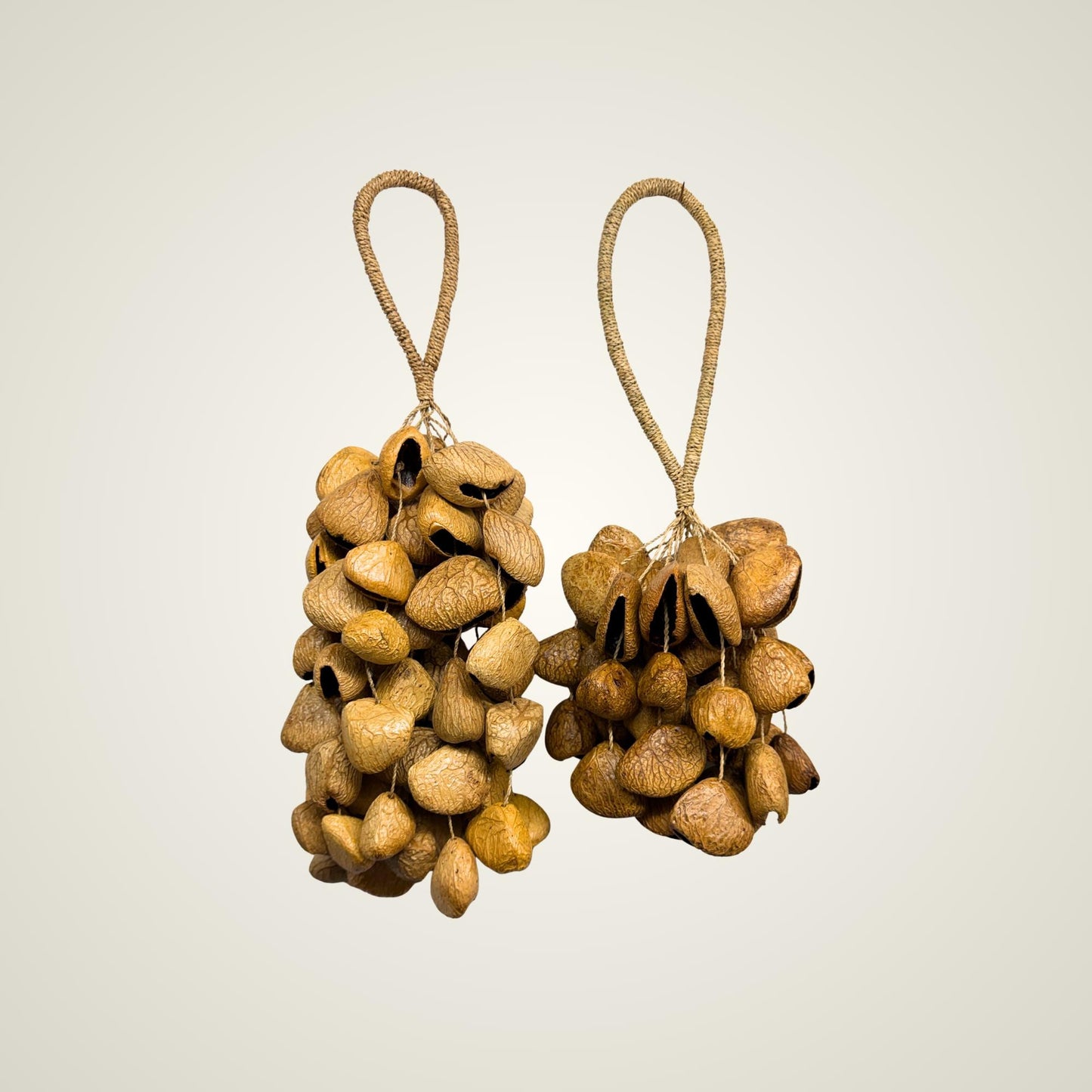 Pangi Nut Percussion Rattle,  Natural Keluwak Seed Shaker - Sound Healing Bell - Wind chime