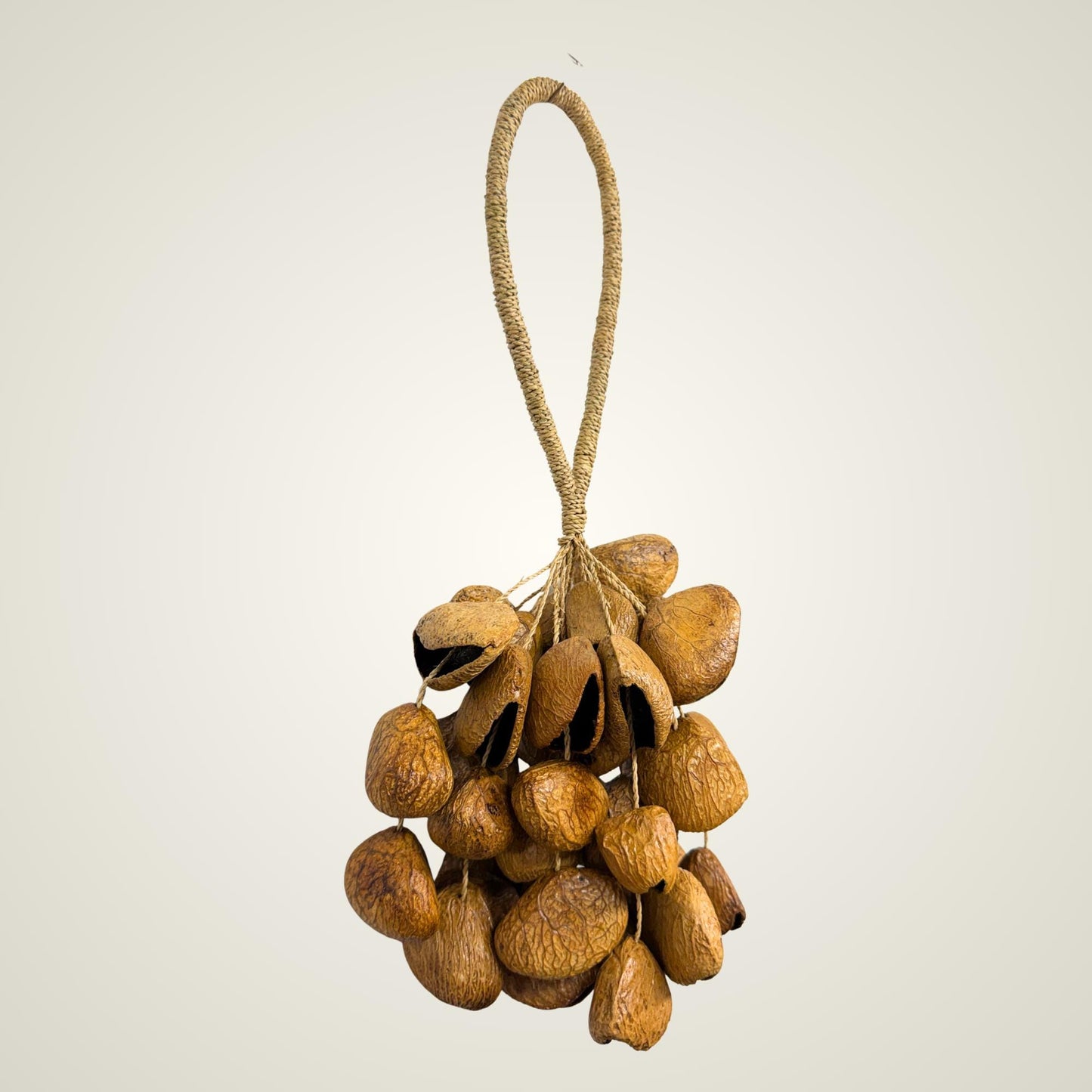 Pangi Nut Percussion Rattle,  Natural Keluwak Seed Shaker - Sound Healing Bell - Wind chime