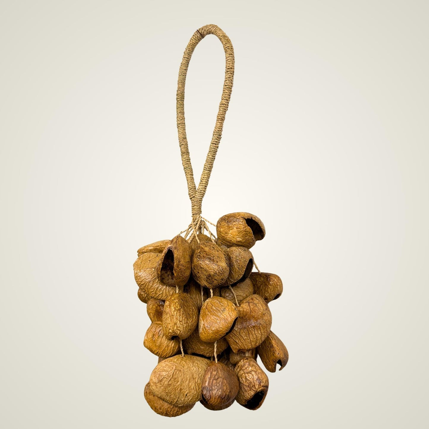 Pangi Nut Percussion Rattle,  Natural Keluwak Seed Shaker - Sound Healing Bell - Wind chime