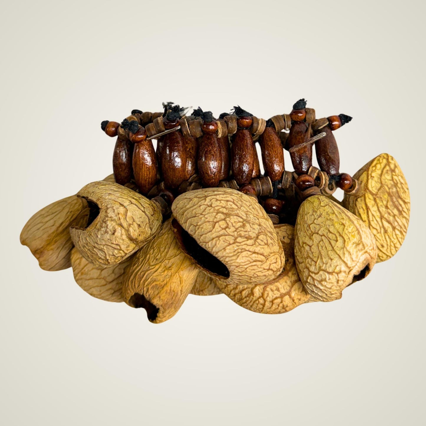 Pangi Nut Percussion Bracelet Rattle,  Natural Keluwak Seed Shaker - Sound Healing Bell