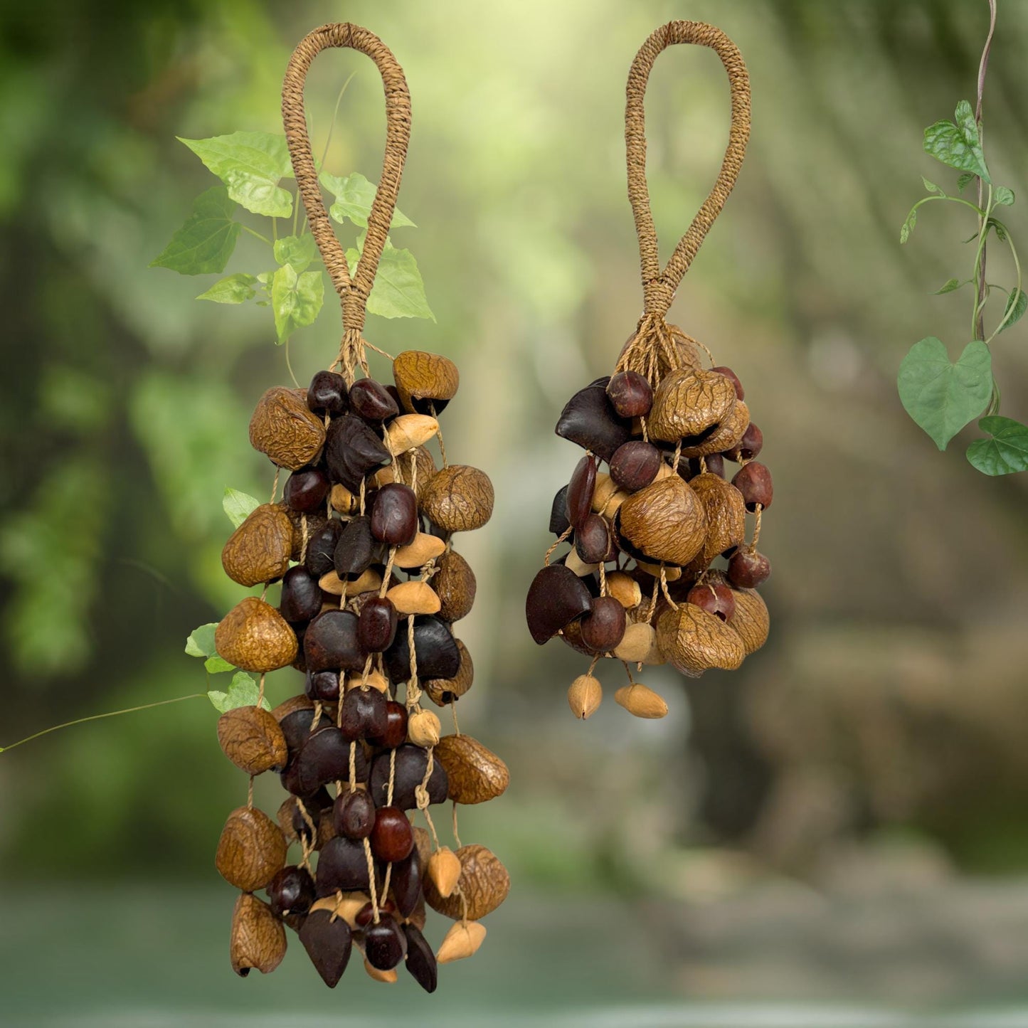 Pangi Nut Percussion Rattle,  Natural Bendo Seed Shaker - Sound Healing Bell - Wind chime