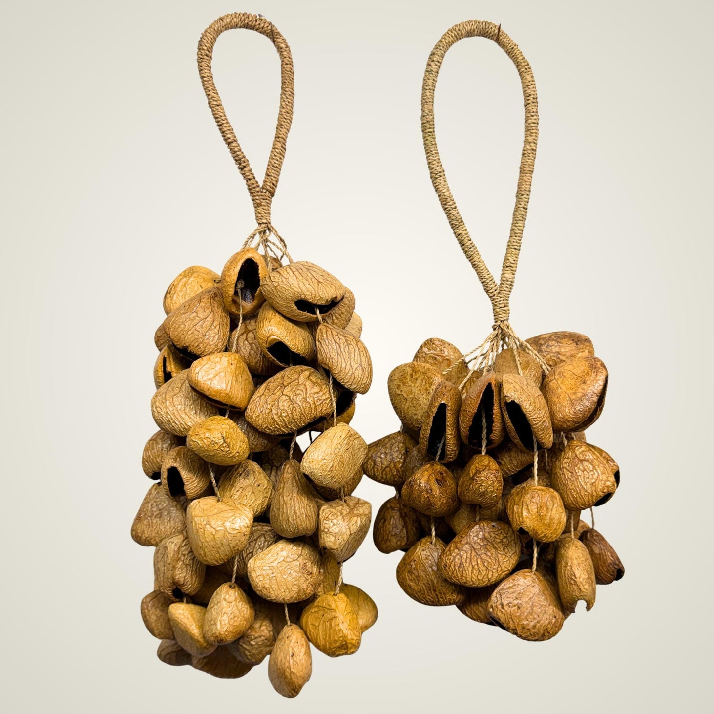 Pangi Nut Percussion Rattle,  Natural Keluwak Seed Shaker - Sound Healing Bell - Wind chime