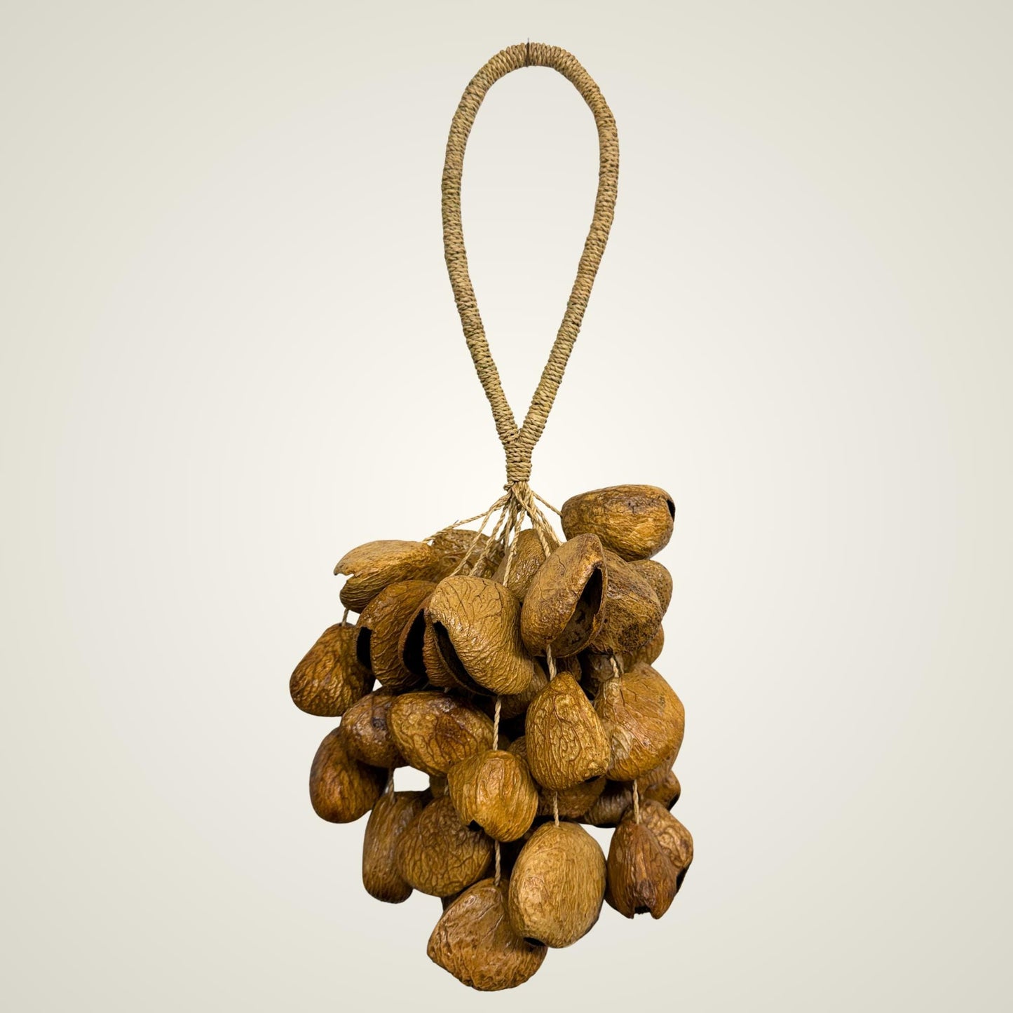 Pangi Nut Percussion Rattle,  Natural Keluwak Seed Shaker - Sound Healing Bell - Wind chime