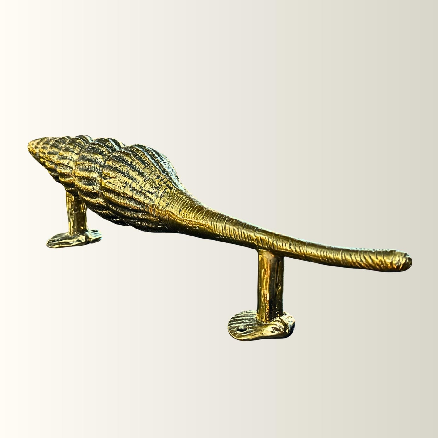 Bronze Seashell Door Handle: Nautical Doorpull, Lost Cast Wax Bronze