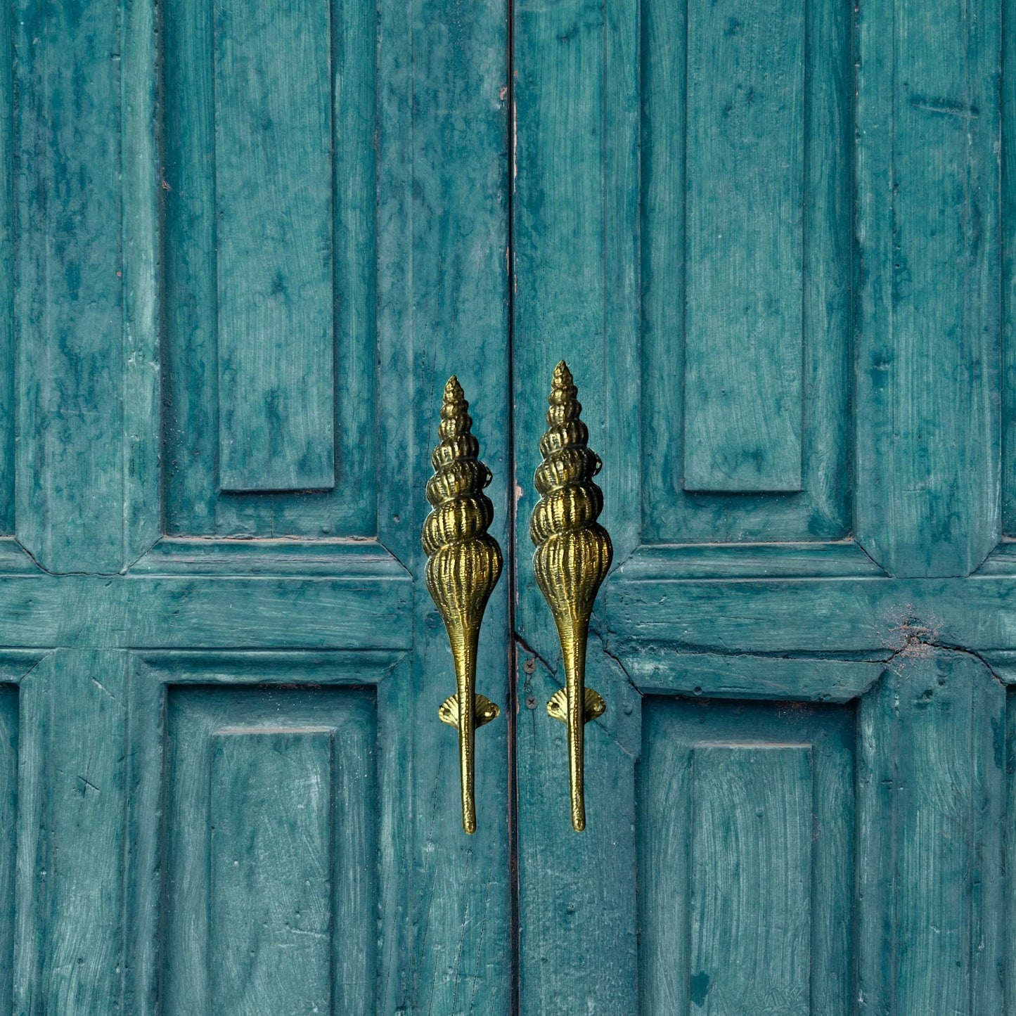 Bronze Seashell Door Handle: Nautical Doorpull, Lost Cast Wax Bronze