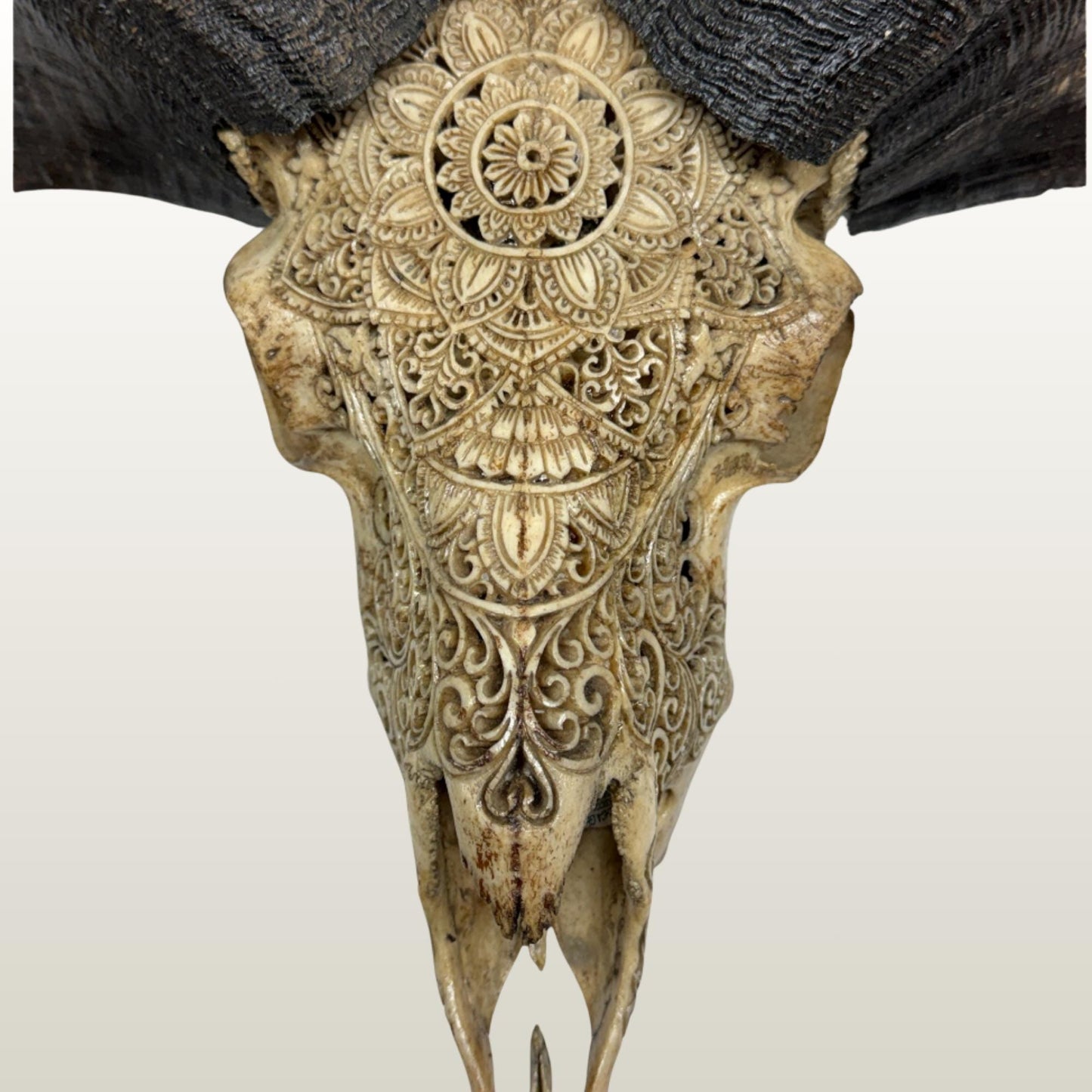Balinese Hand Carved Mandala Ram Skull: Boho Wall Decor