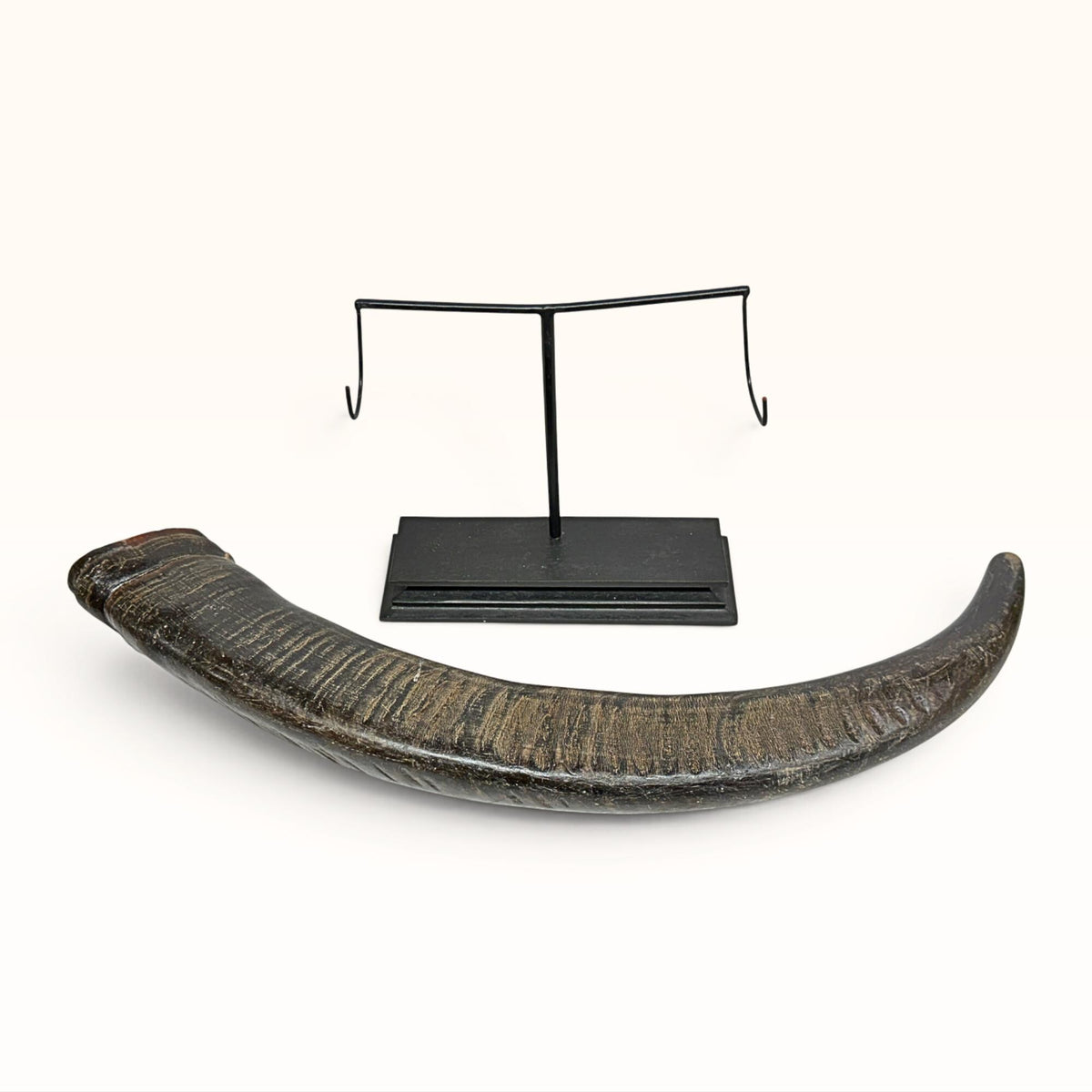Hand Carved Water Buffalo Horn: Mystical Phoenix Dragon Art, Balinese Bone Carving Boho Decor