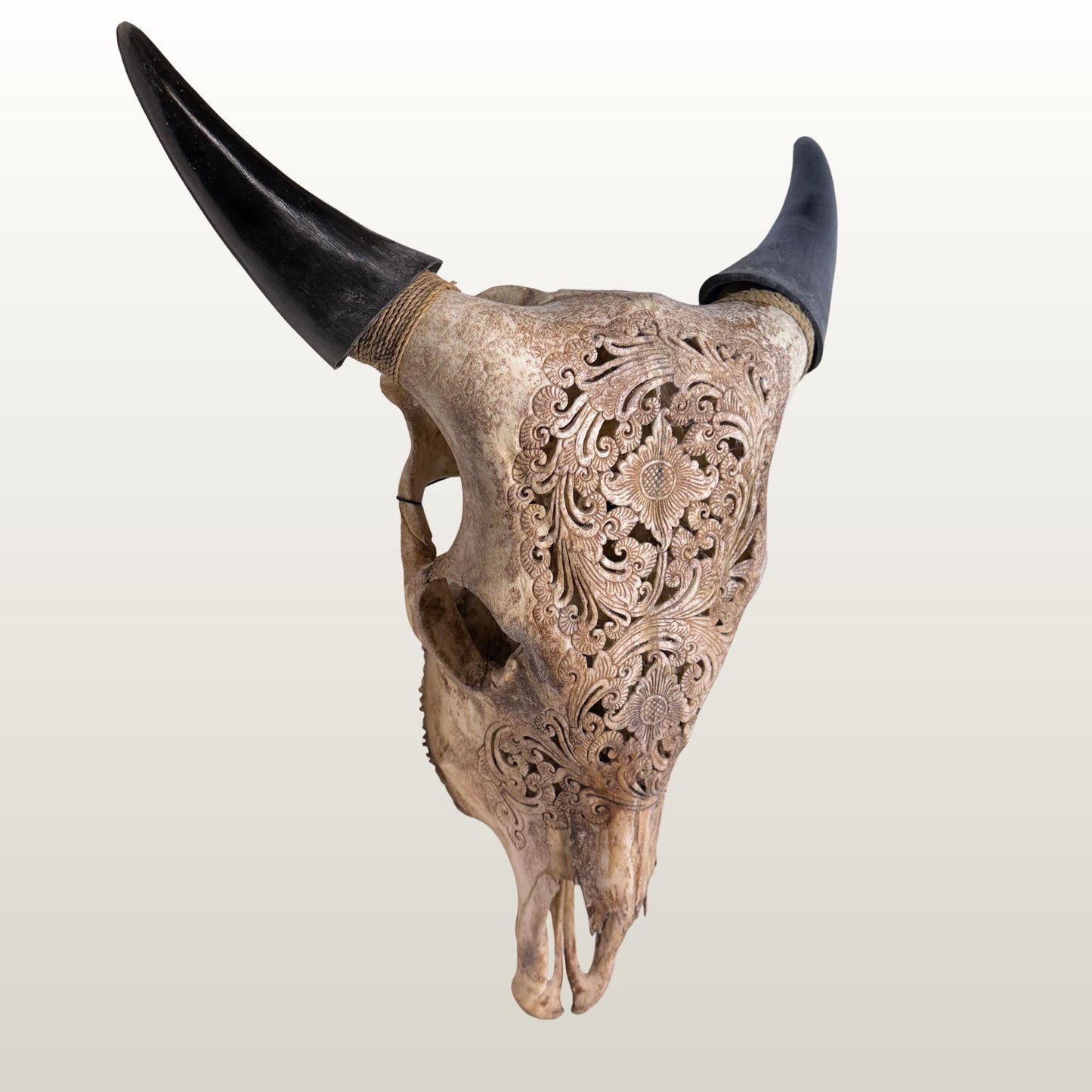 Hand Carved Steer Skull with Padma Lotus Motif, Balinese Bone Carving Art (Wall Mount)
