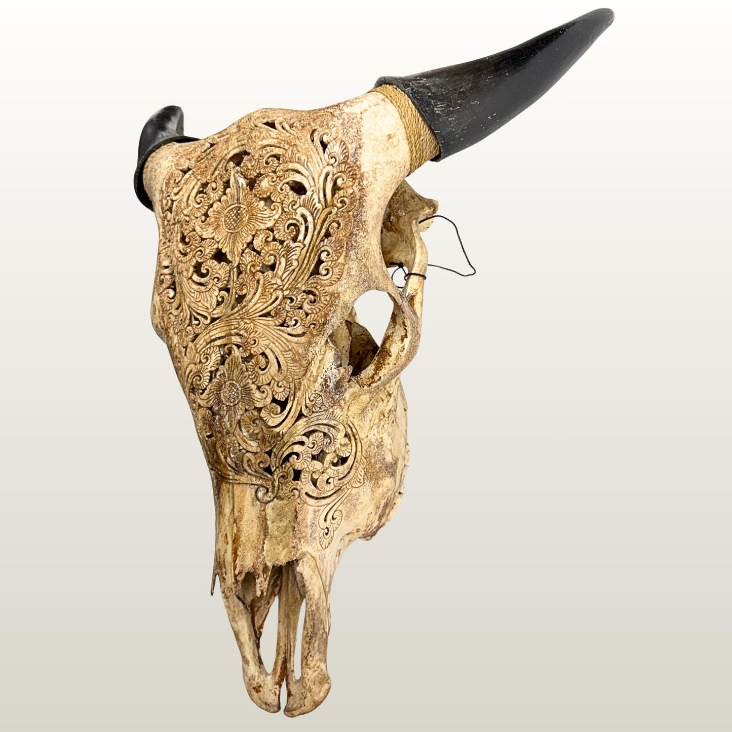 Hand Carved Steer Skull with Padma Lotus Motif, Balinese Bone Carving Art (Wall Mount)