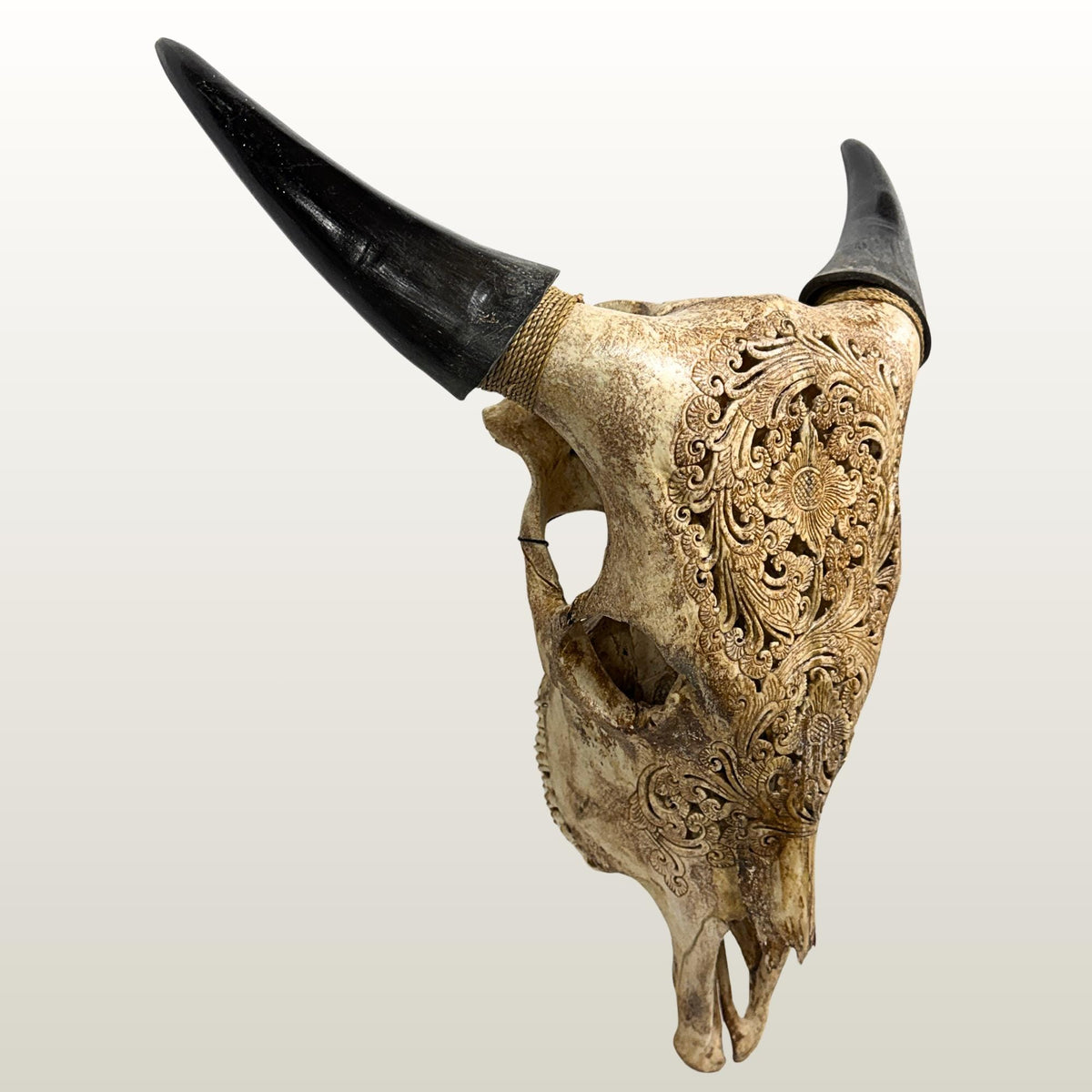 Hand Carved Steer Skull with Padma Lotus Motif, Balinese Bone Carving Art (Wall Mount)