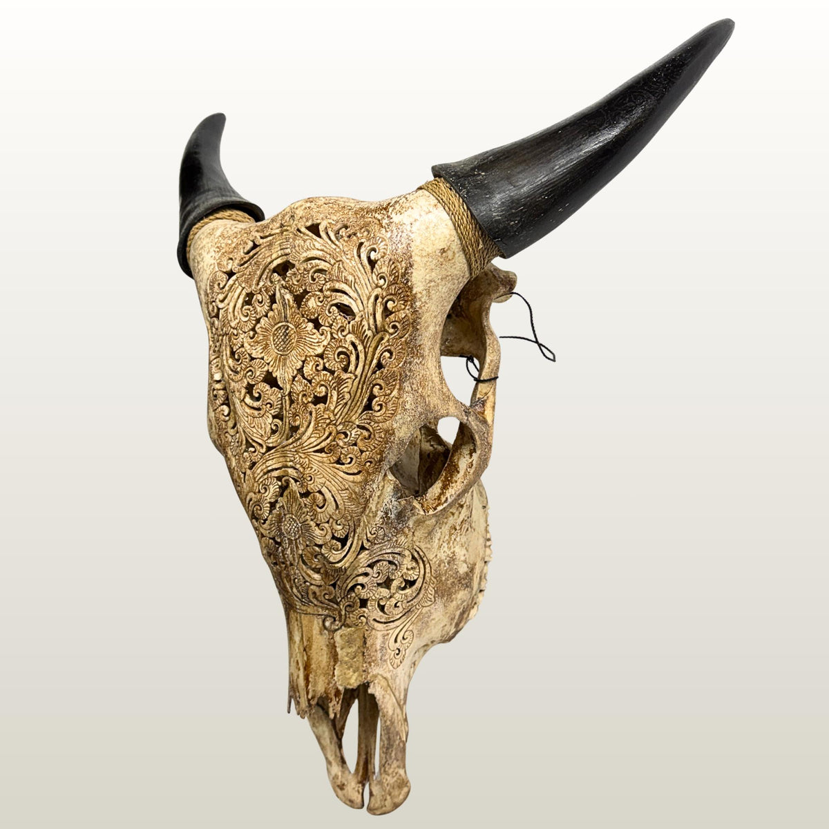 Hand Carved Steer Skull with Padma Lotus Motif, Balinese Bone Carving Art (Wall Mount)