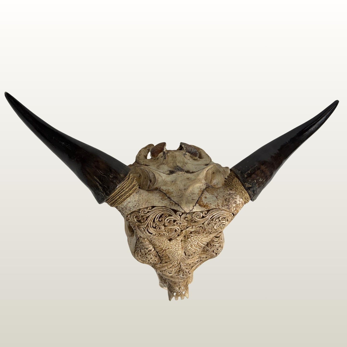 Carved Steer SKULL HORN Mythical Phoenix Bird, Taxidermy Wall Mount, Balinese Bone Carving Art