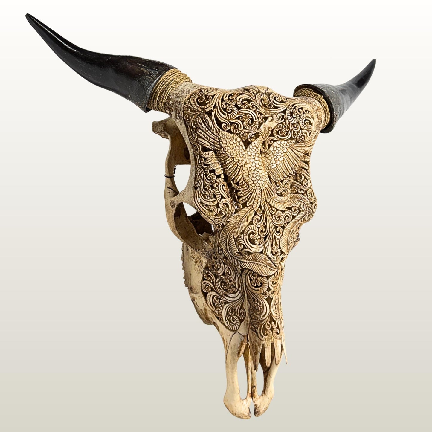 Carved Steer SKULL HORN Mythical Phoenix Bird, Taxidermy Wall Mount, Balinese Bone Carving Art