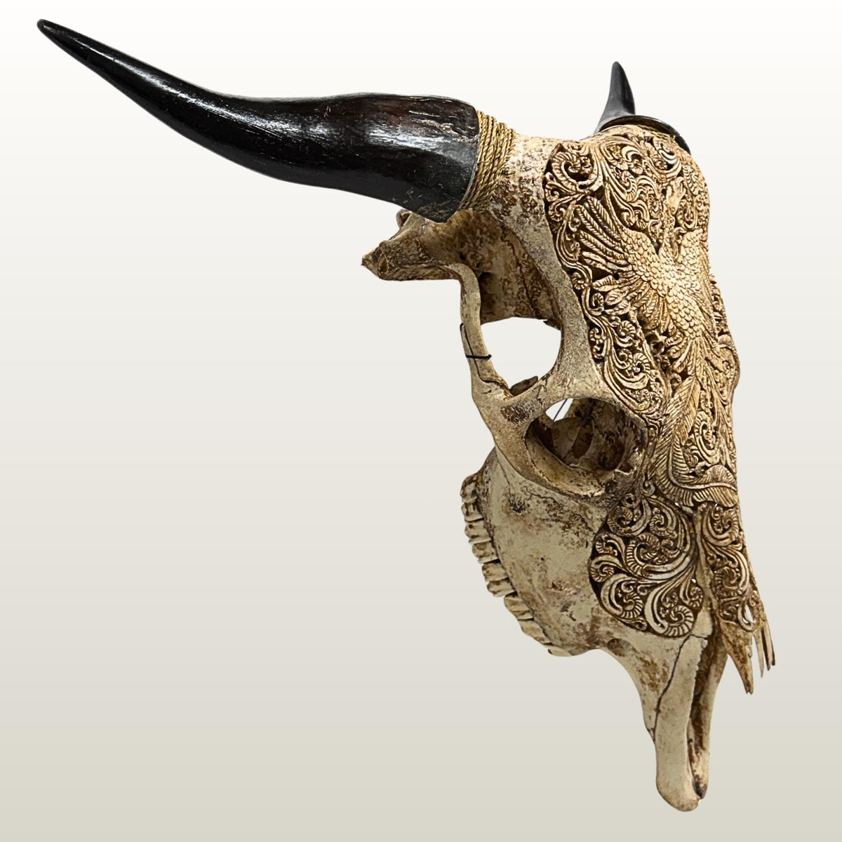 Carved Steer SKULL HORN Mythical Phoenix Bird, Taxidermy Wall Mount, Balinese Bone Carving Art