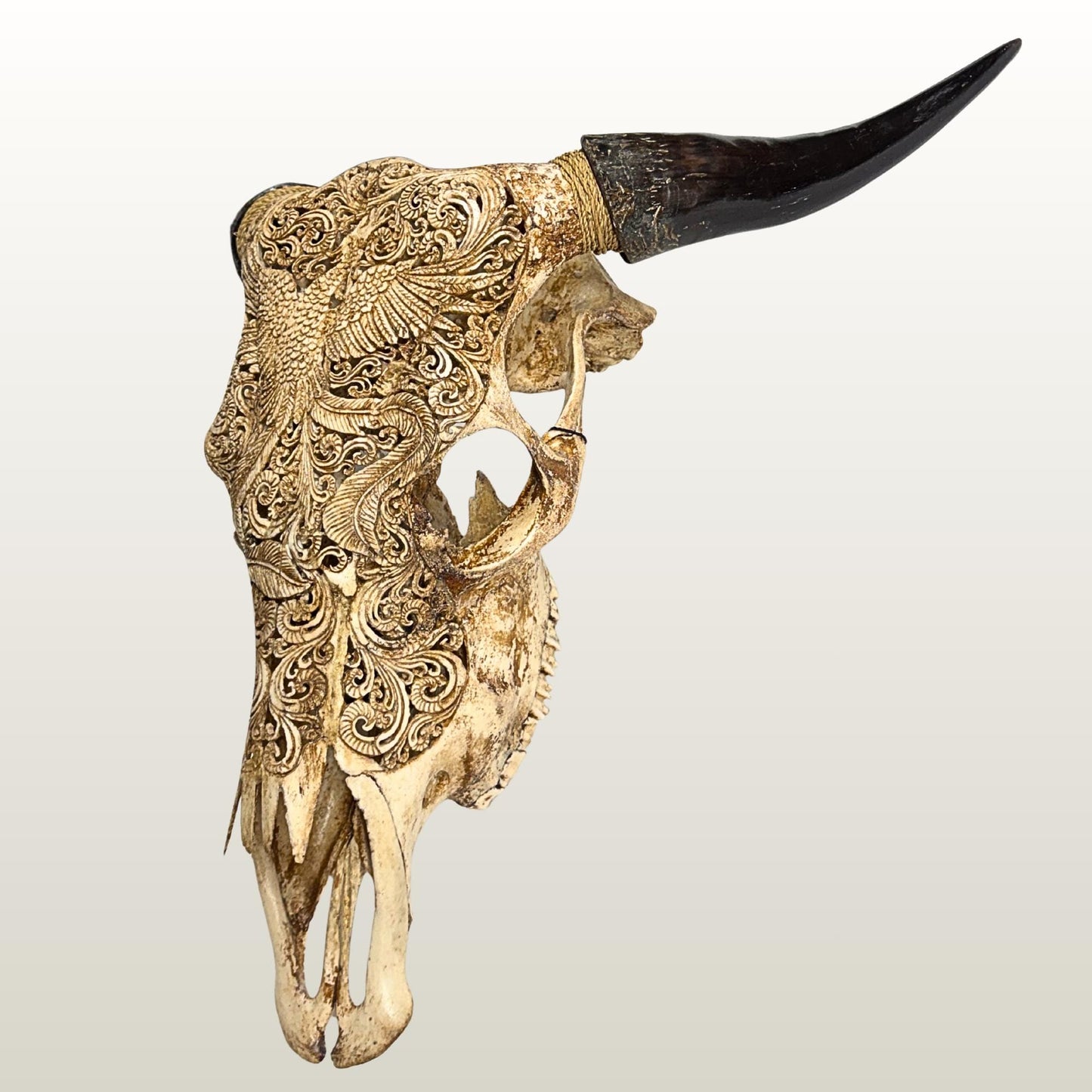 Carved Steer SKULL HORN Mythical Phoenix Bird, Taxidermy Wall Mount, Balinese Bone Carving Art