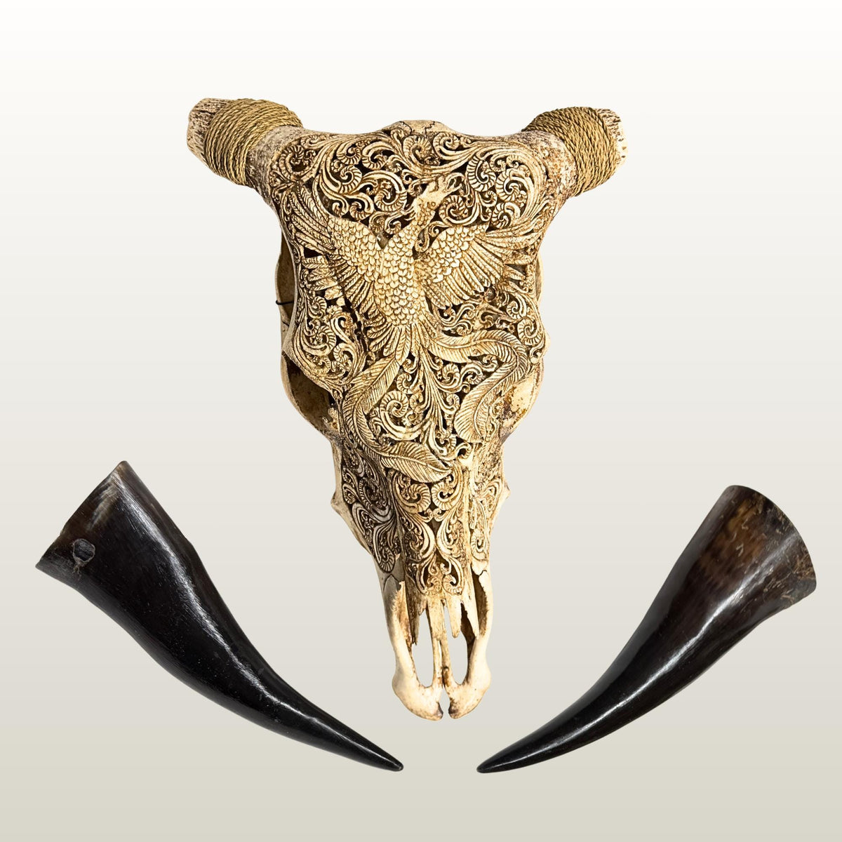 Carved Steer SKULL HORN Mythical Phoenix Bird, Taxidermy Wall Mount, Balinese Bone Carving Art