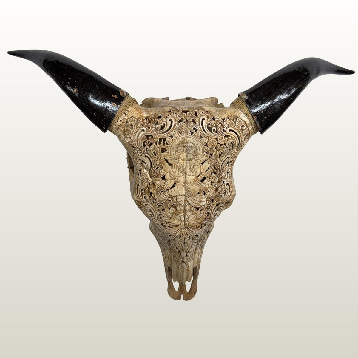 Hand Carved Bali Ganesha Wall Mount Steer Skull; Balinese Bone Carving Art