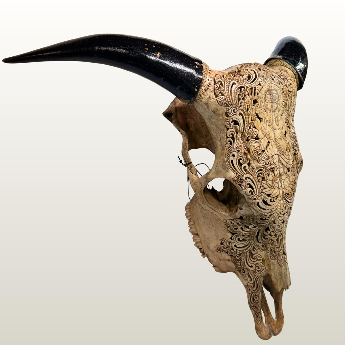Hand Carved Bali Ganesha Wall Mount Steer Skull; Balinese Bone Carving Art