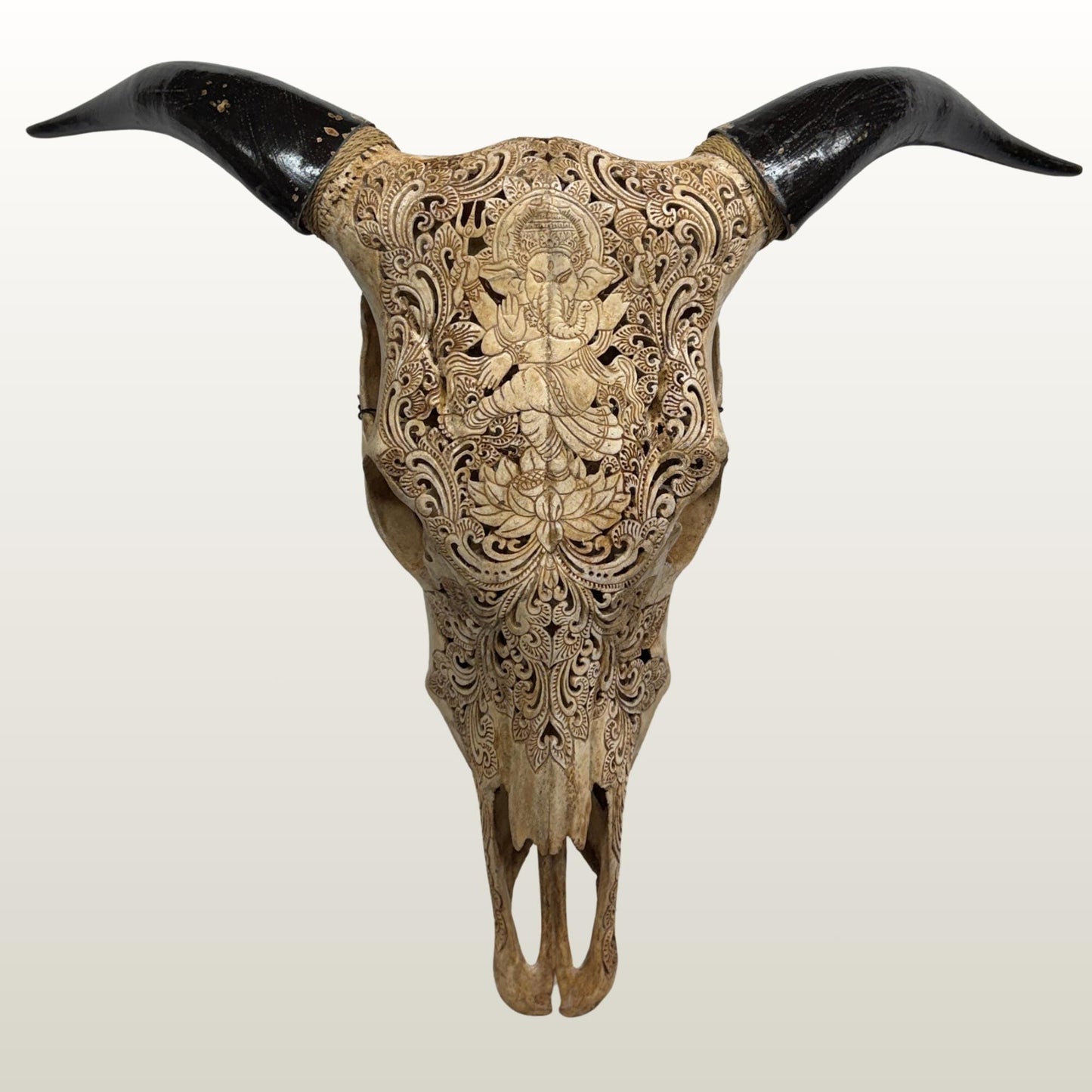Hand Carved Bali Ganesha Wall Mount Steer Skull; Balinese Bone Carving Art