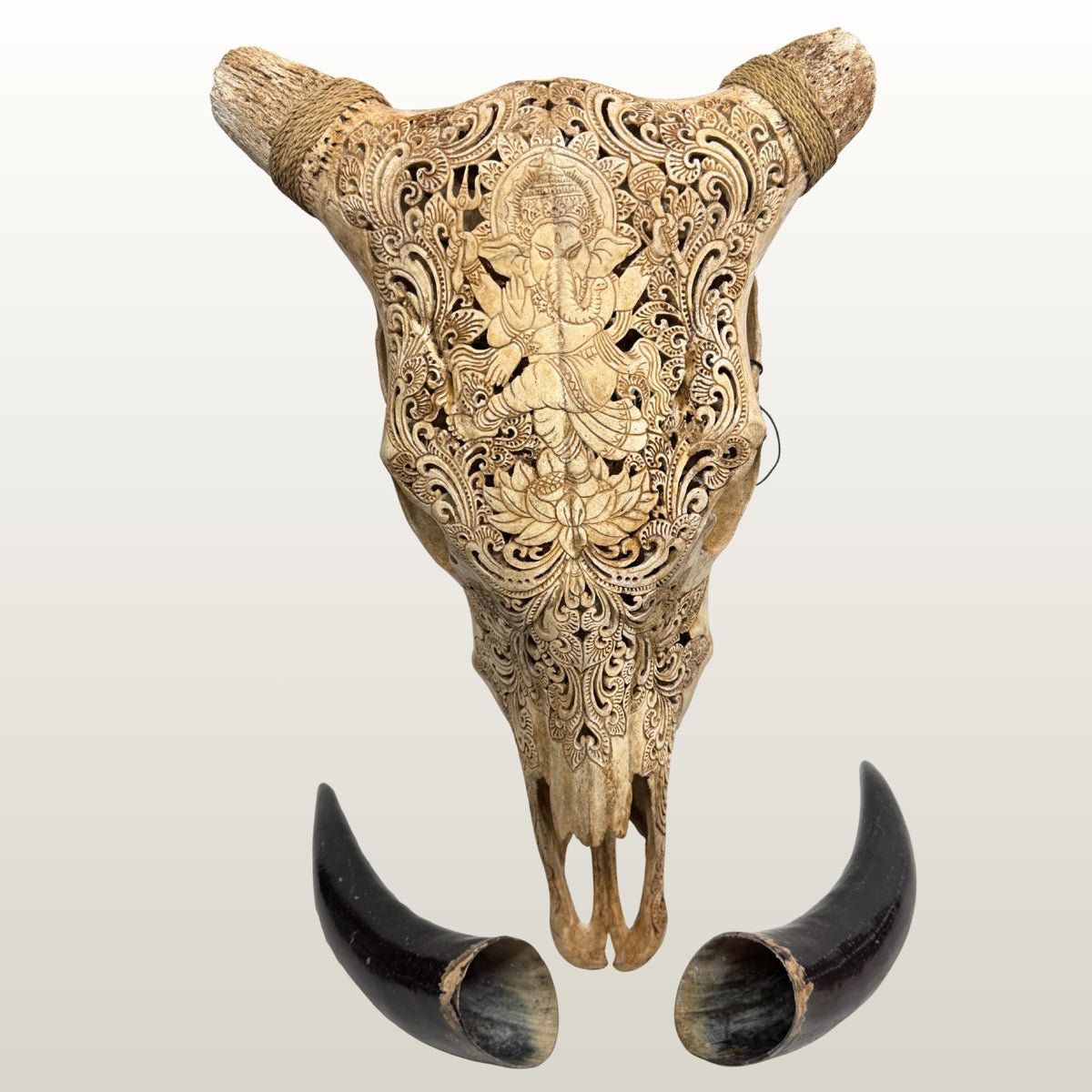 Hand Carved Bali Ganesha Wall Mount Steer Skull; Balinese Bone Carving Art
