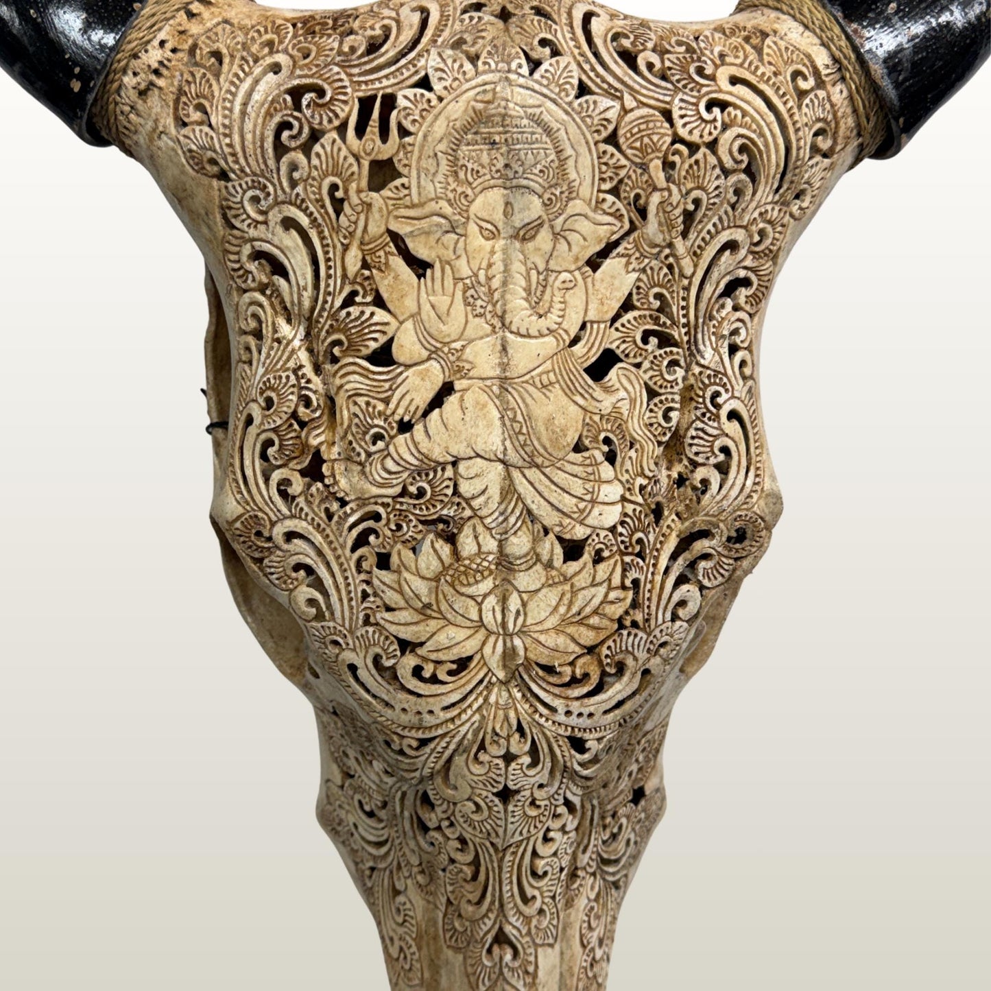 Hand Carved Bali Ganesha Wall Mount Steer Skull; Balinese Bone Carving Art