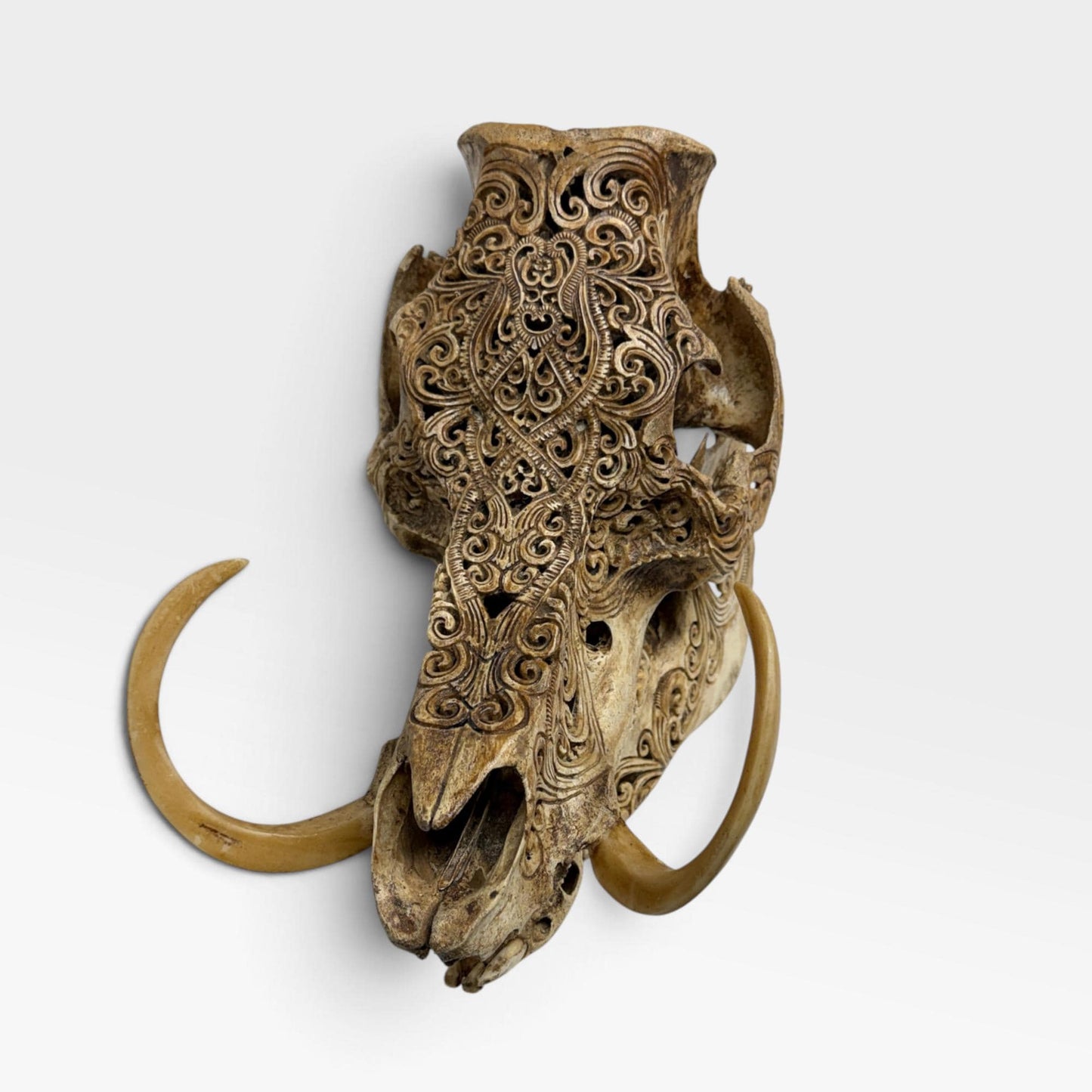 Balinese Hand Carved Wild Boar Skull: Taxidermy Lodge Decor, Bali Wall  Art