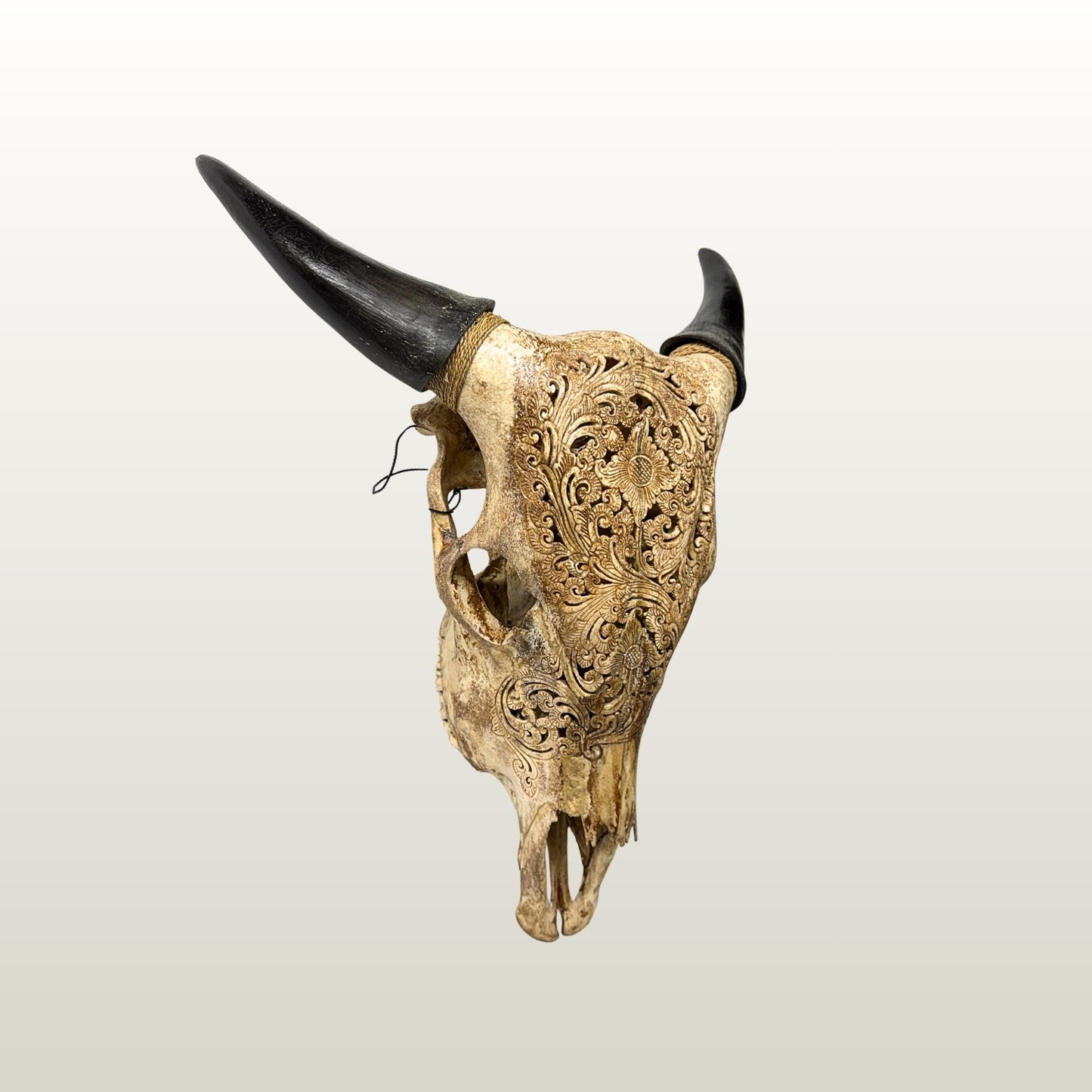 Hand Carved Steer Skull with Padma Lotus Motif, Balinese Bone Carving Art (Wall Mount)