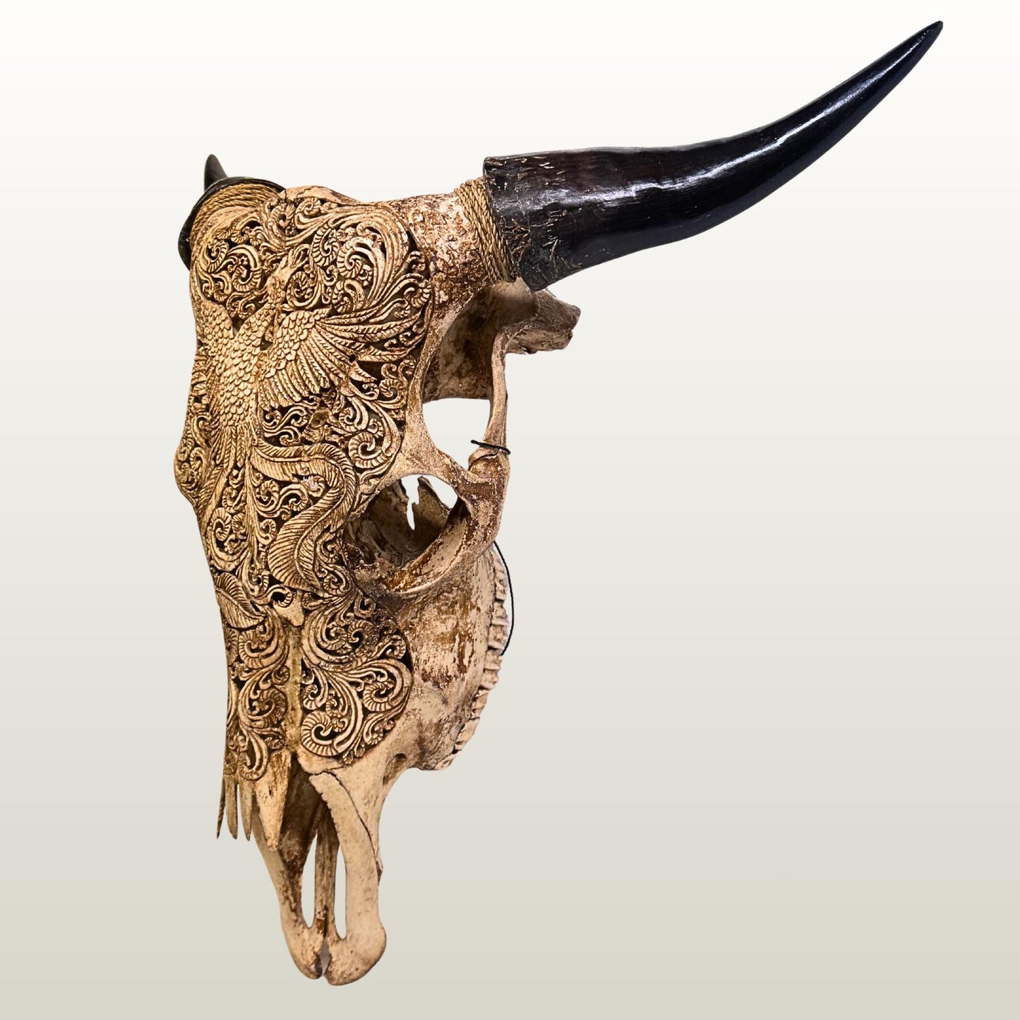 Carved Steer SKULL HORN Mythical Phoenix Bird, Taxidermy Wall Mount, Balinese Bone Carving Art