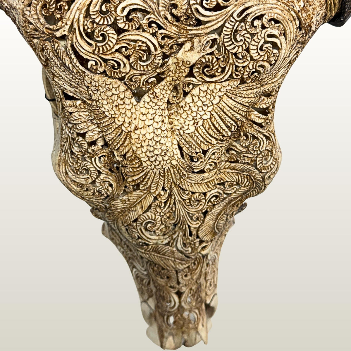 Carved Steer SKULL HORN Mythical Phoenix Bird, Taxidermy Wall Mount, Balinese Bone Carving Art