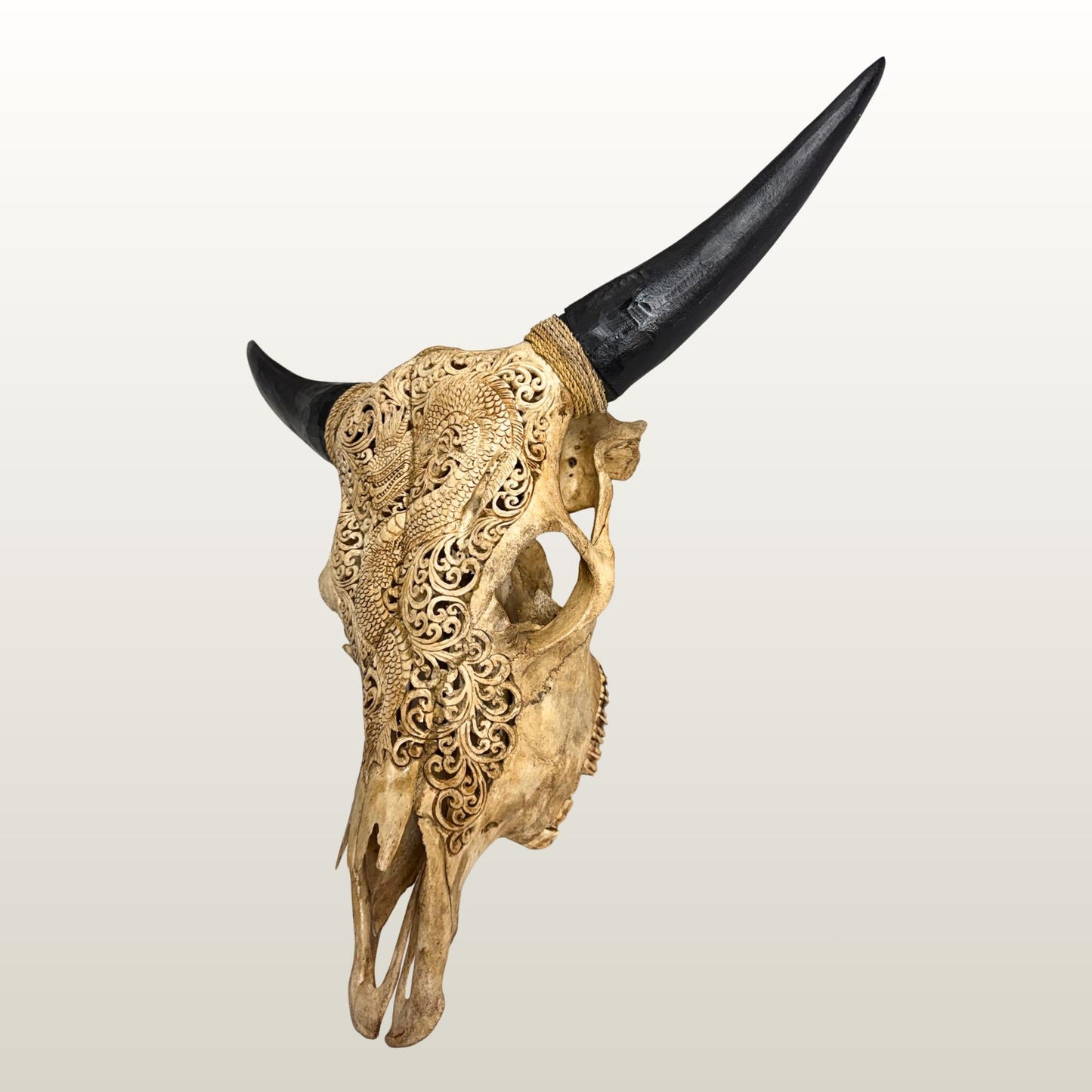 Hand Carved Steer SKULL HORNS Mystical Dragon Taxidermy Cow bull Wall Art
