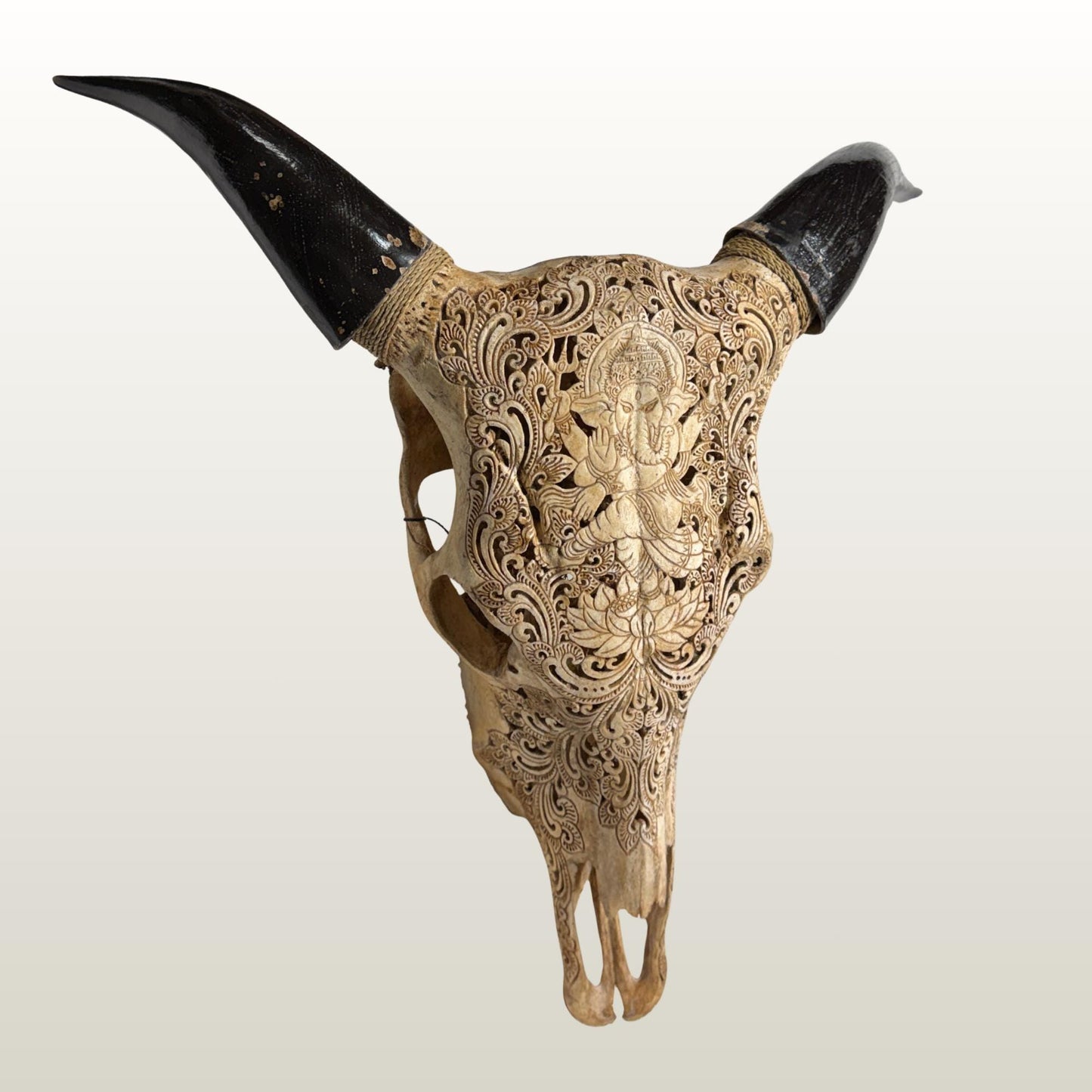 Hand Carved Bali Ganesha Wall Mount Steer Skull; Balinese Bone Carving Art