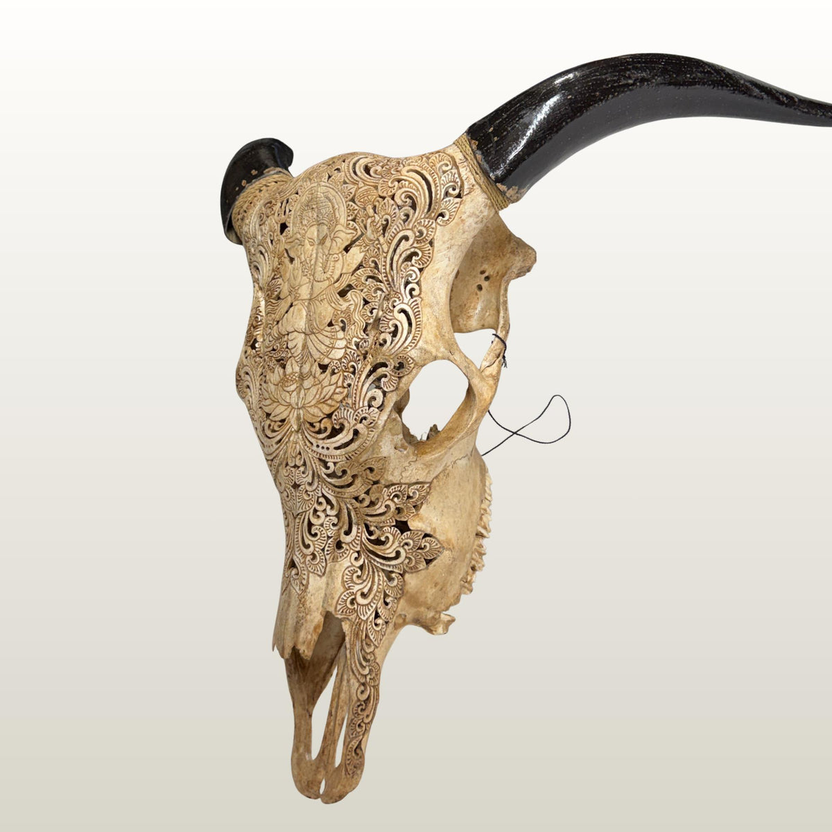 Hand Carved Bali Ganesha Wall Mount Steer Skull; Balinese Bone Carving Art