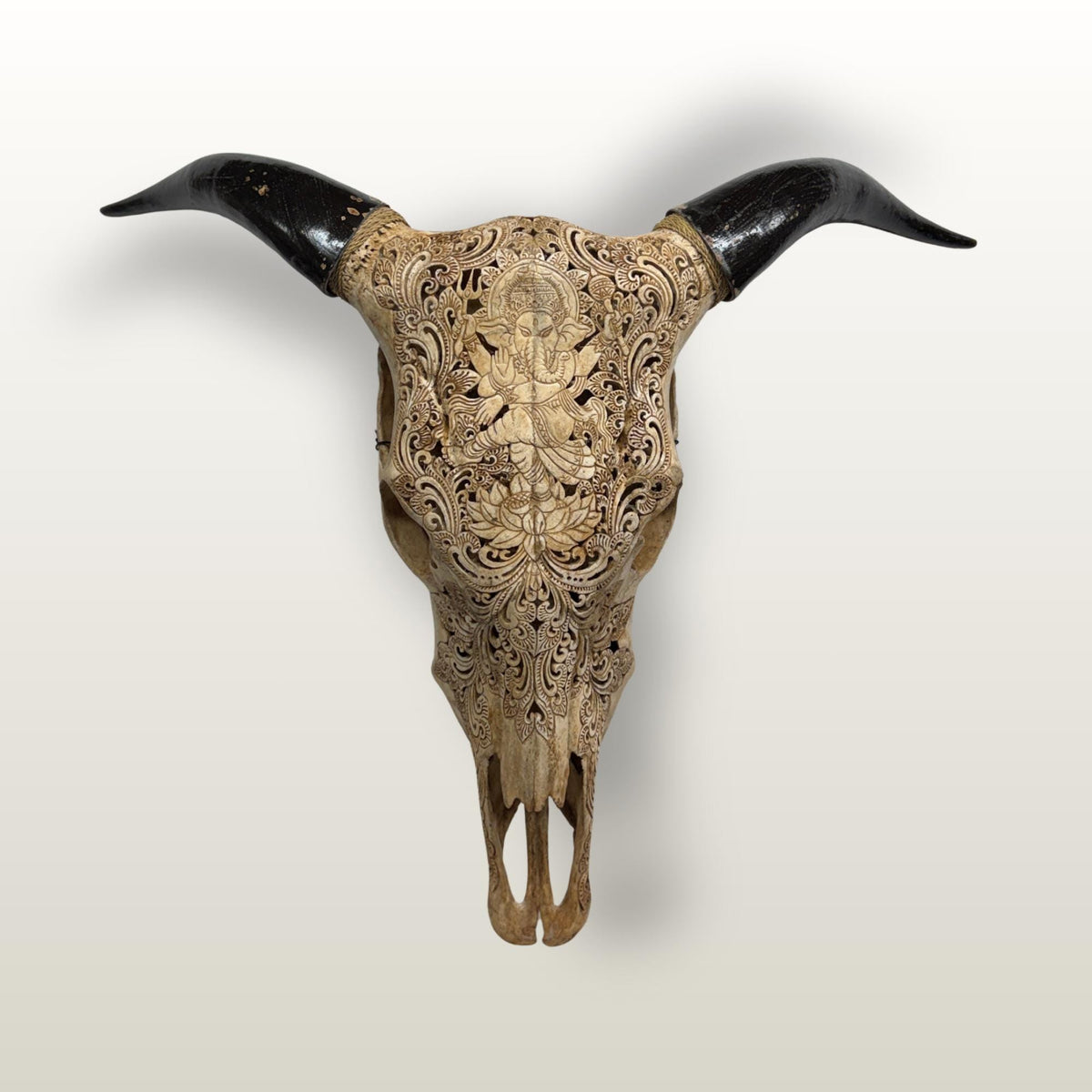 Hand Carved Bali Ganesha Wall Mount Steer Skull; Balinese Bone Carving Art