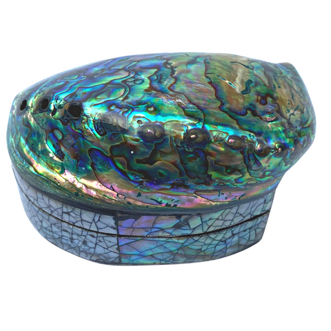 Blue Paua Shell Seashell Iridescent Jewelry Box Trinket Stash Velveteen lined