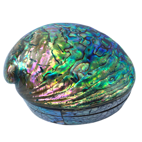 Blue Paua Shell Seashell Iridescent Jewelry Box Trinket Stash Velveteen lined