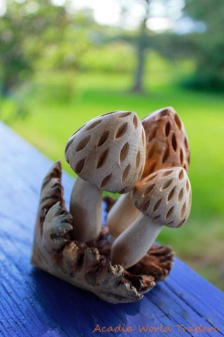 Forest Morel Mushroom Statue Parasite Wood Carving Handmade Bali Art Sculpture - Acadia World Traders