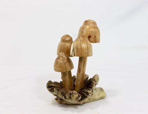 Magic Wild Mushroom Statue Parasite Wood Carving Handmade Bali Art Sculpture - Acadia World Traders