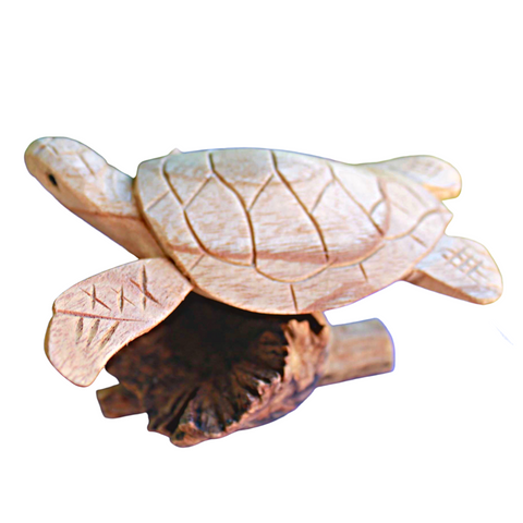 Hand Carved sea turtle Statue Parasite Mushroom Wood Ocean Life Sculpture